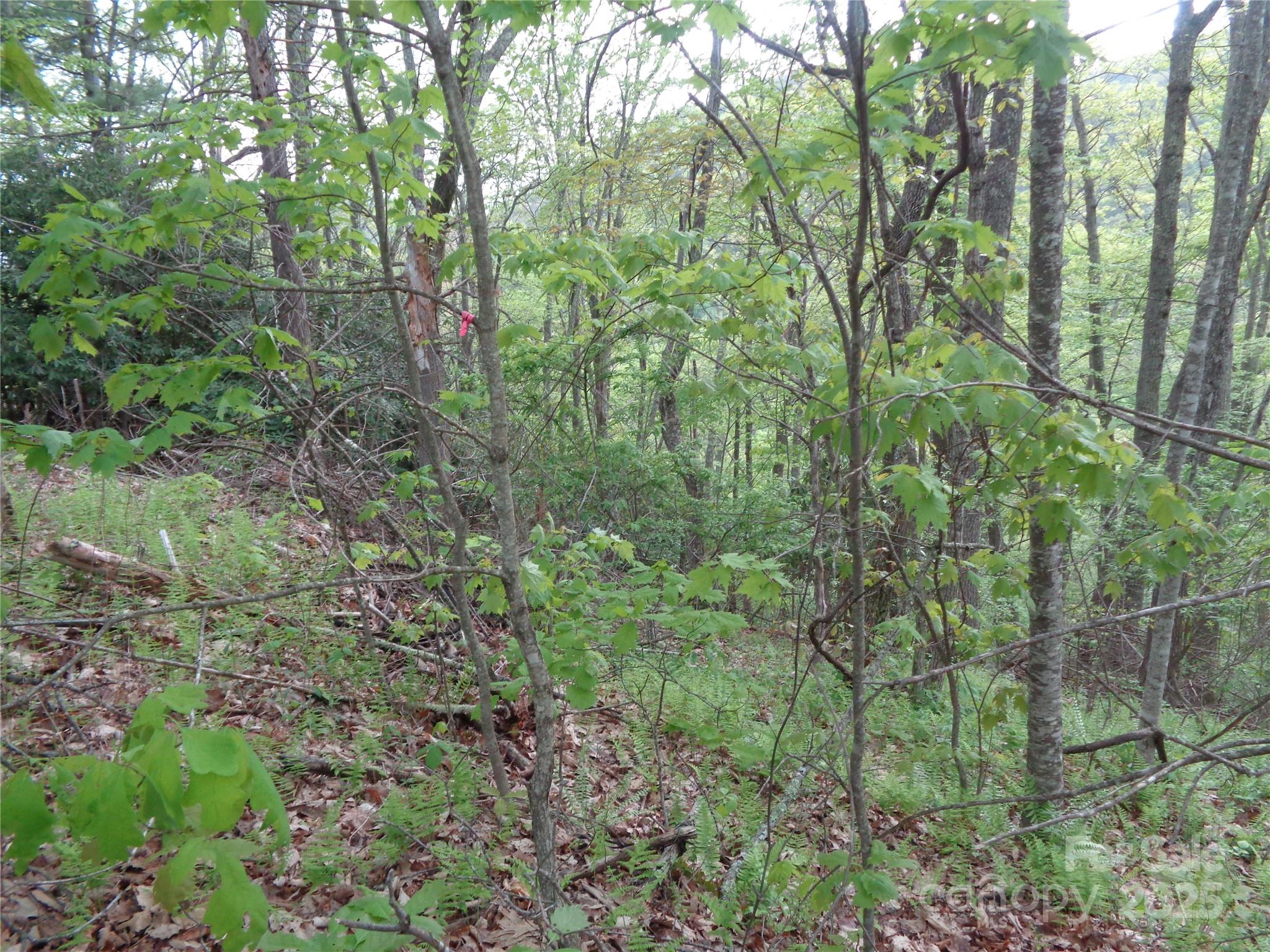 00 Promiseland Road Property Photo 5