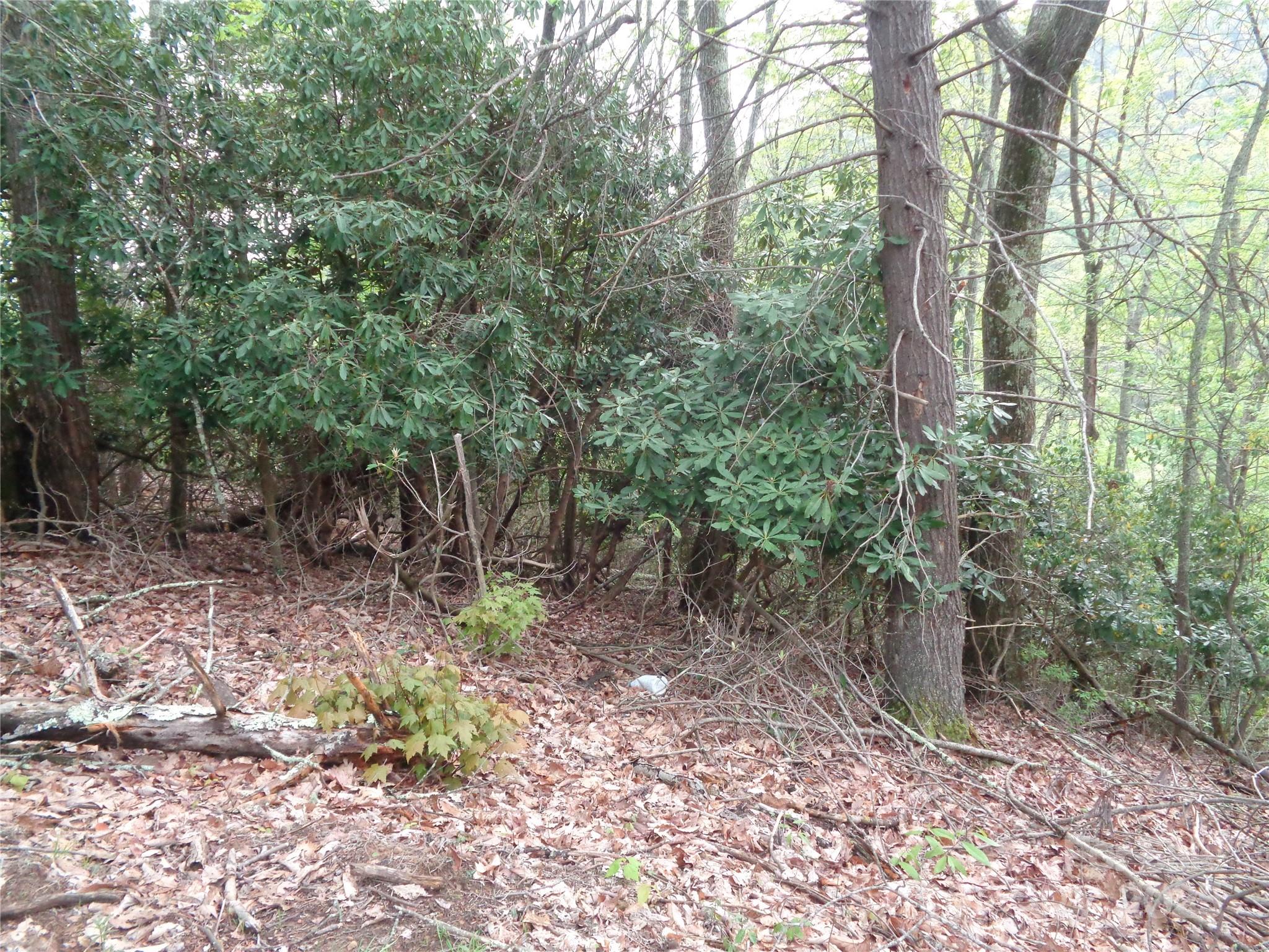 00 Promiseland Road Property Photo 6