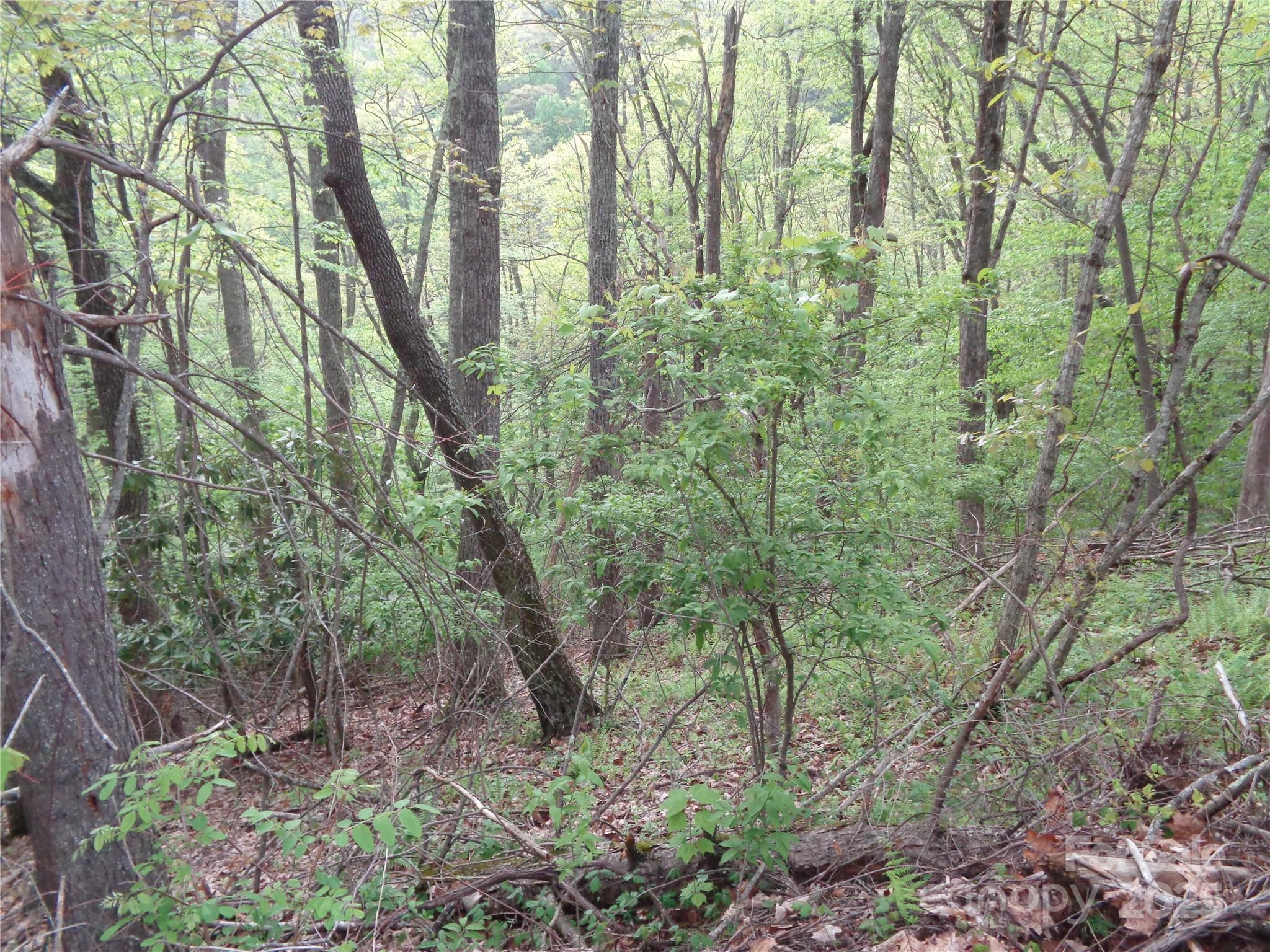 00 Promiseland Road Property Photo 7