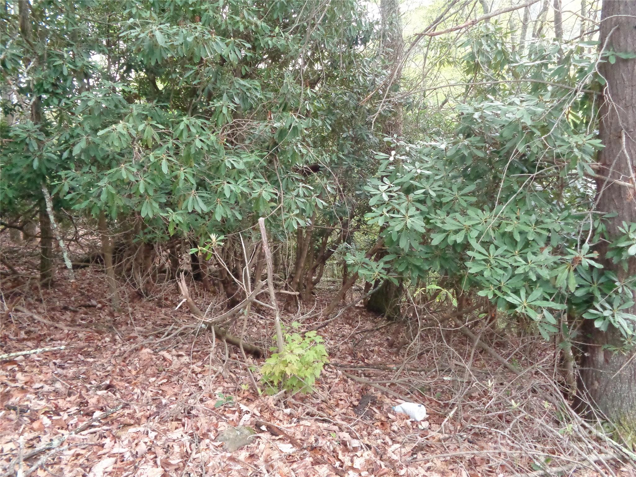 00 Promiseland Road Property Photo 8