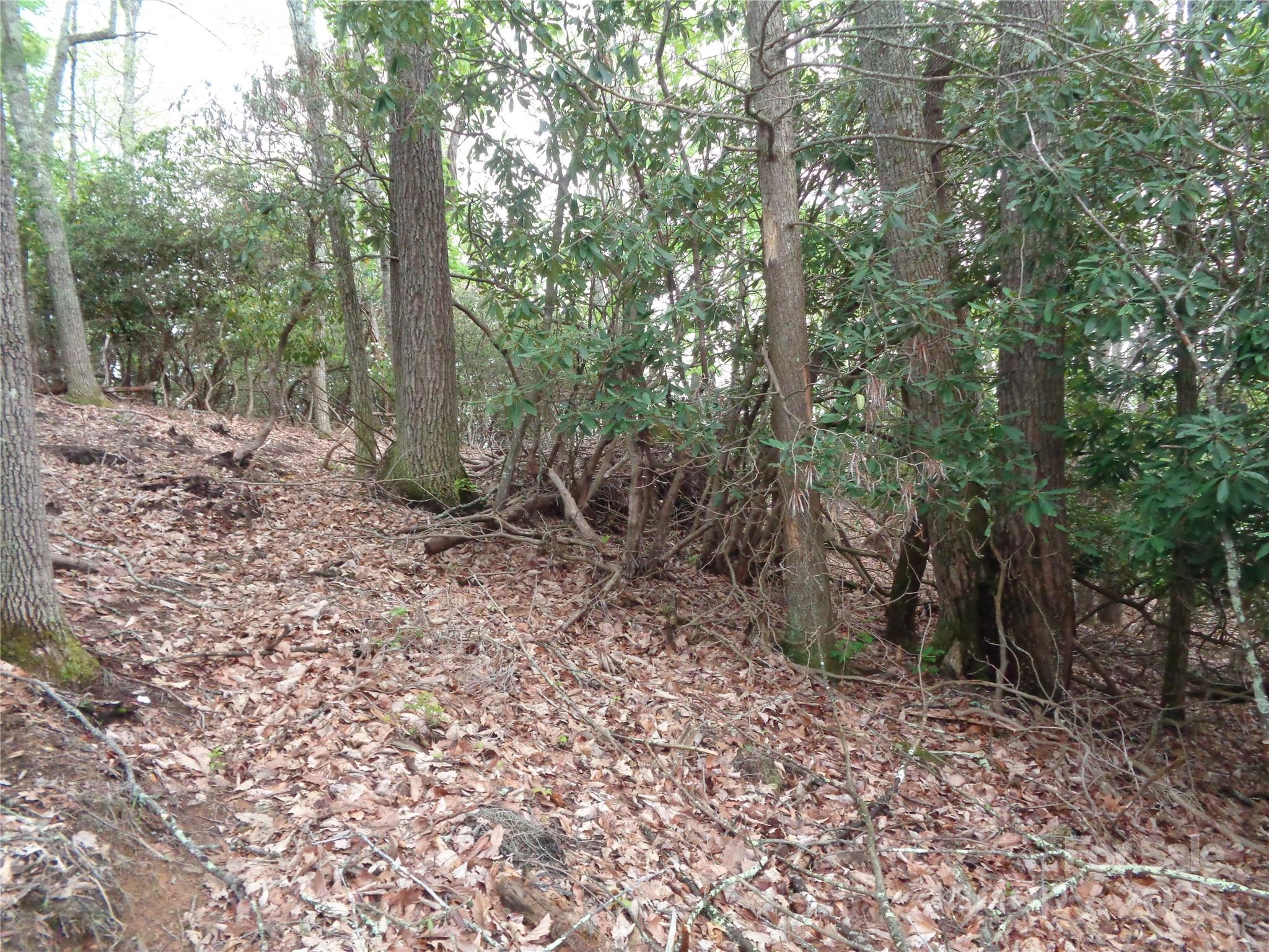 00 Promiseland Road Property Photo 9