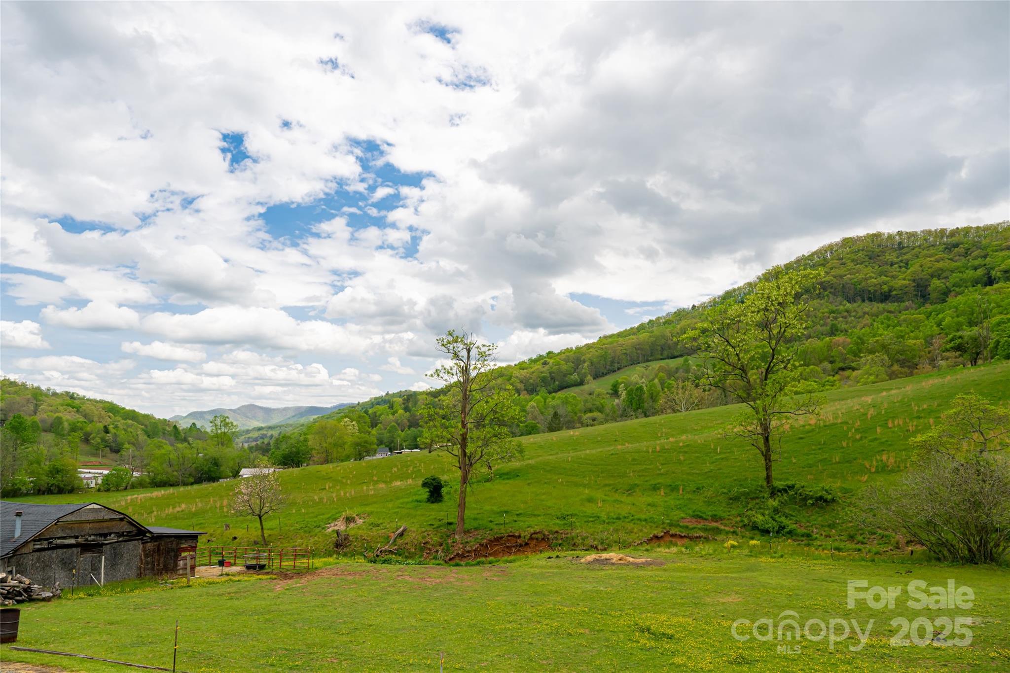 281 Curtis Creek Road Property Photo 40
