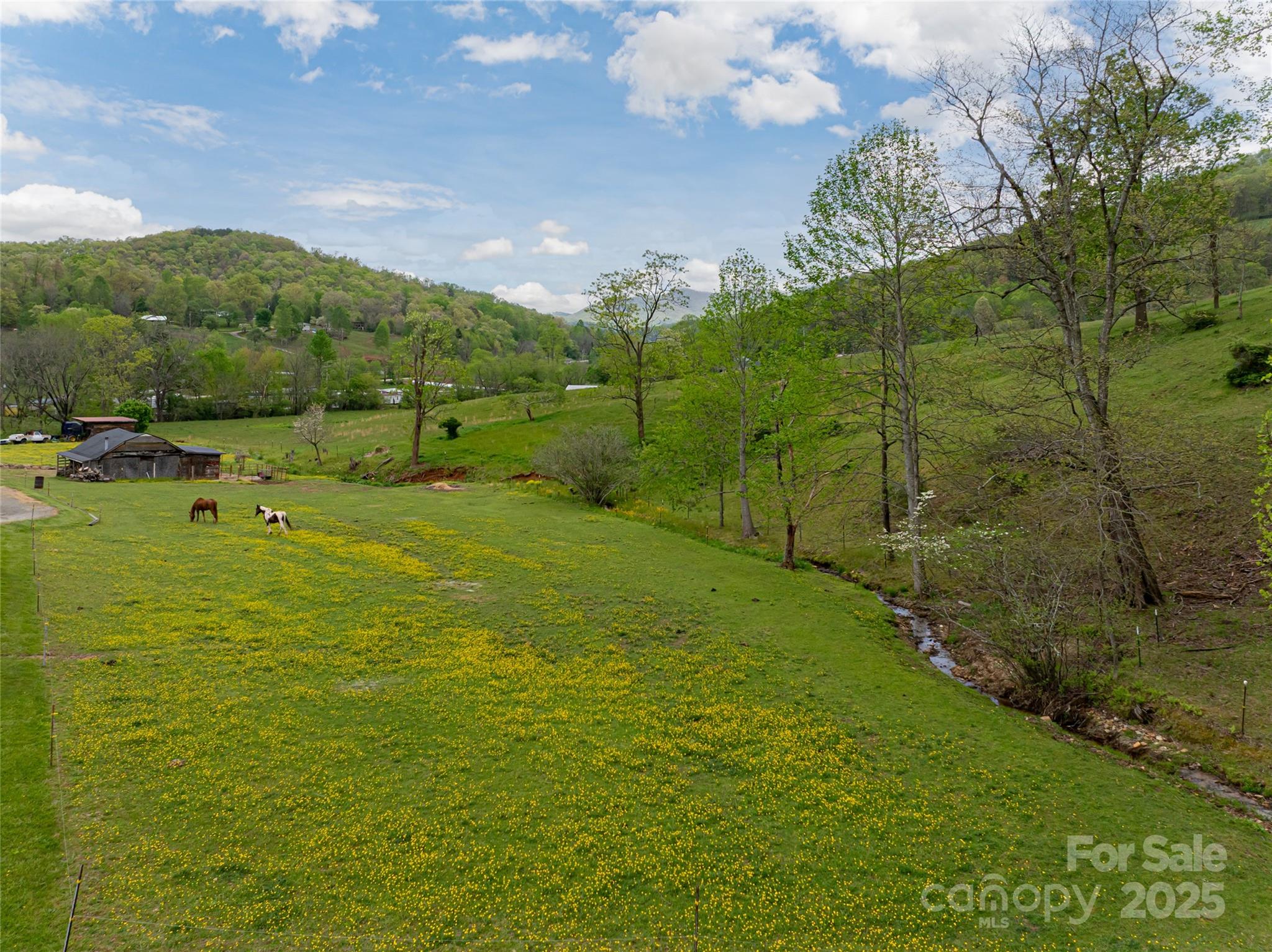 281 Curtis Creek Road Property Photo 45