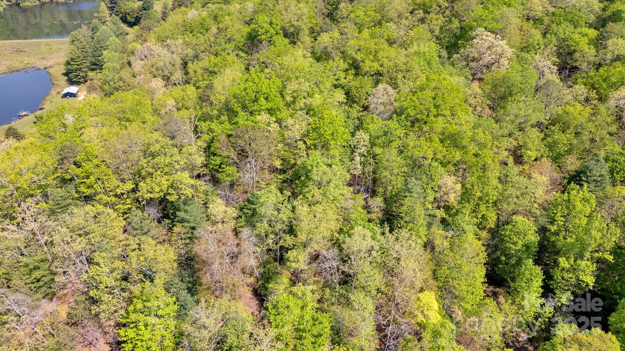 630 Stonefly Drive Property Photo 17