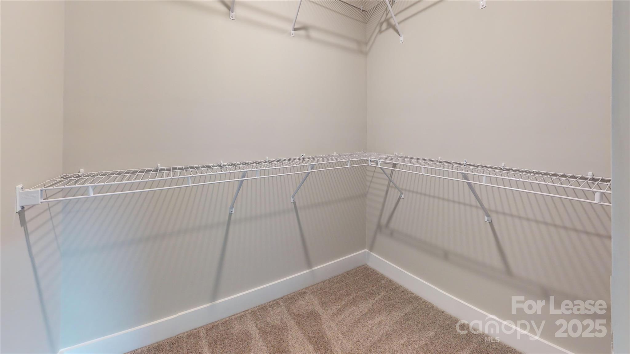 4106 Salient Street Property Photo 15