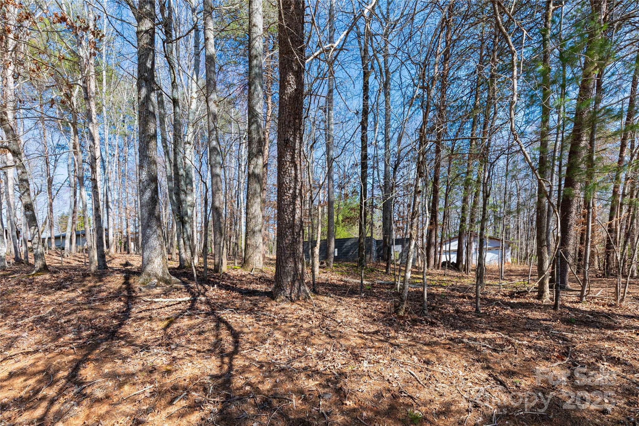 125 Mallard, Drive Property Photo 8
