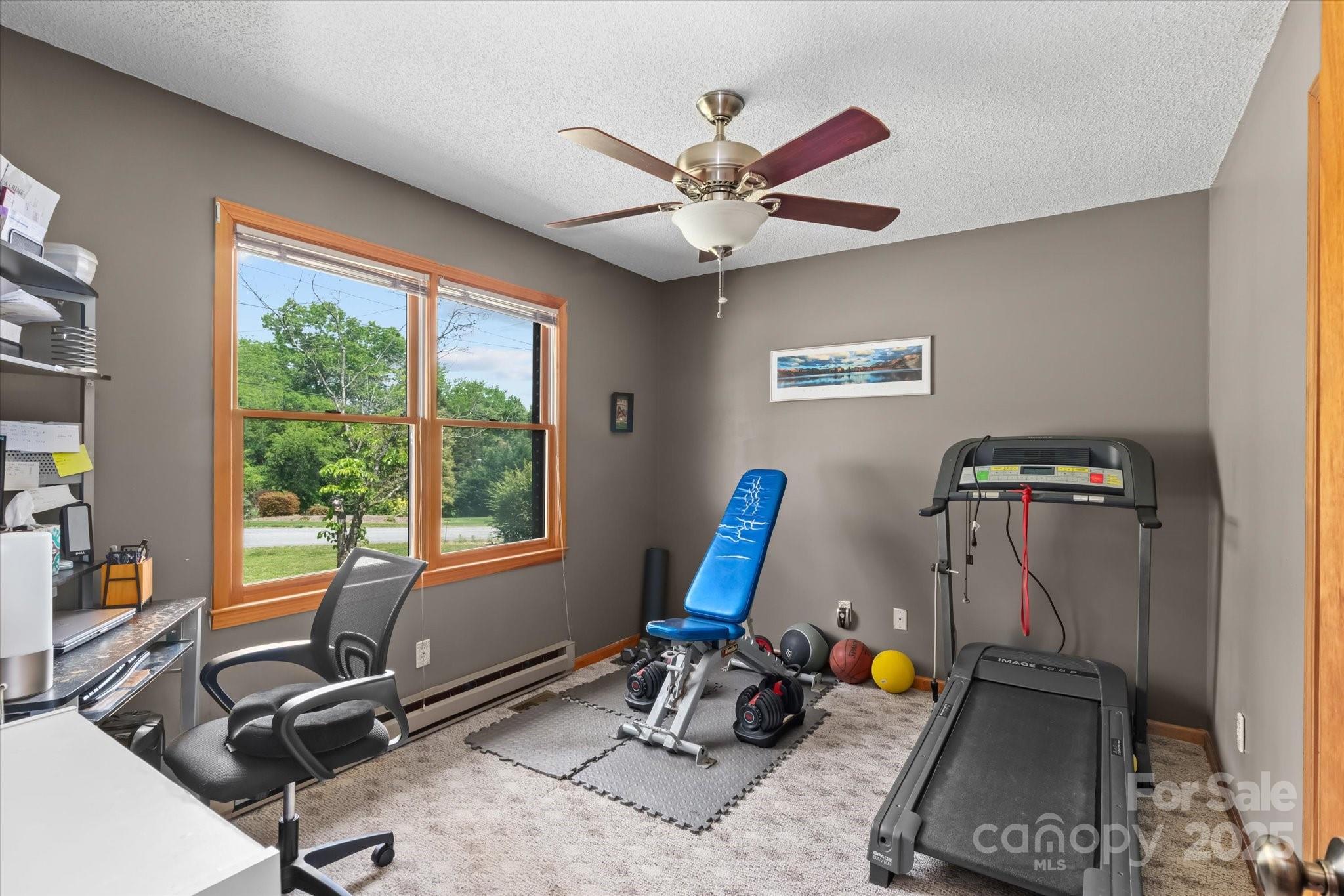 204 Triplett Street Property Photo 12