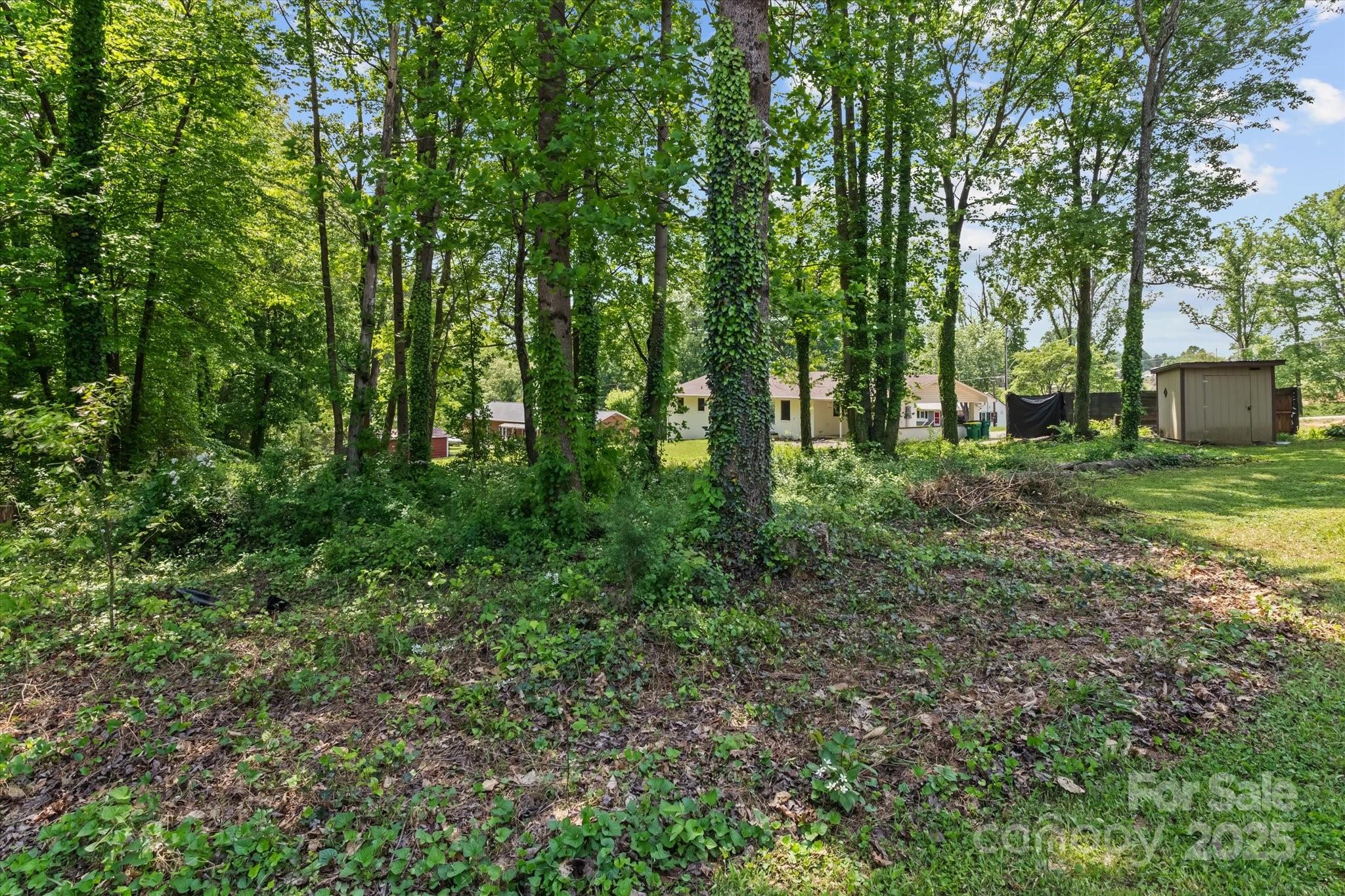 204 Triplett Street Property Photo 19