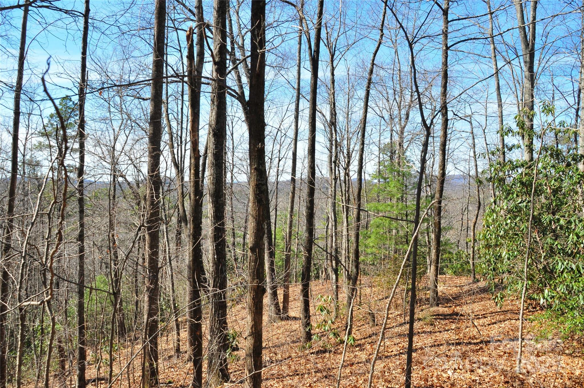 0 Stoneledge Road Property Photo 1