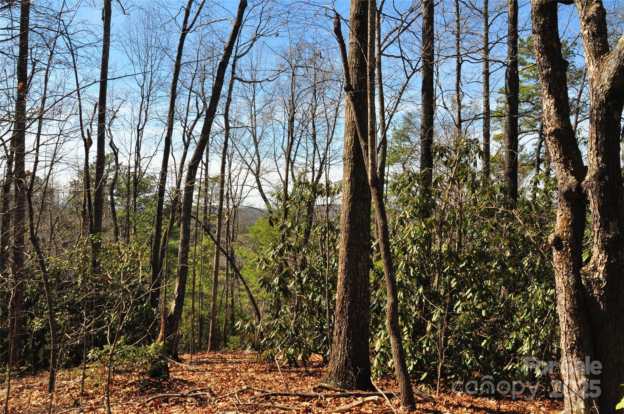 0 Stoneledge Road Property Photo 2