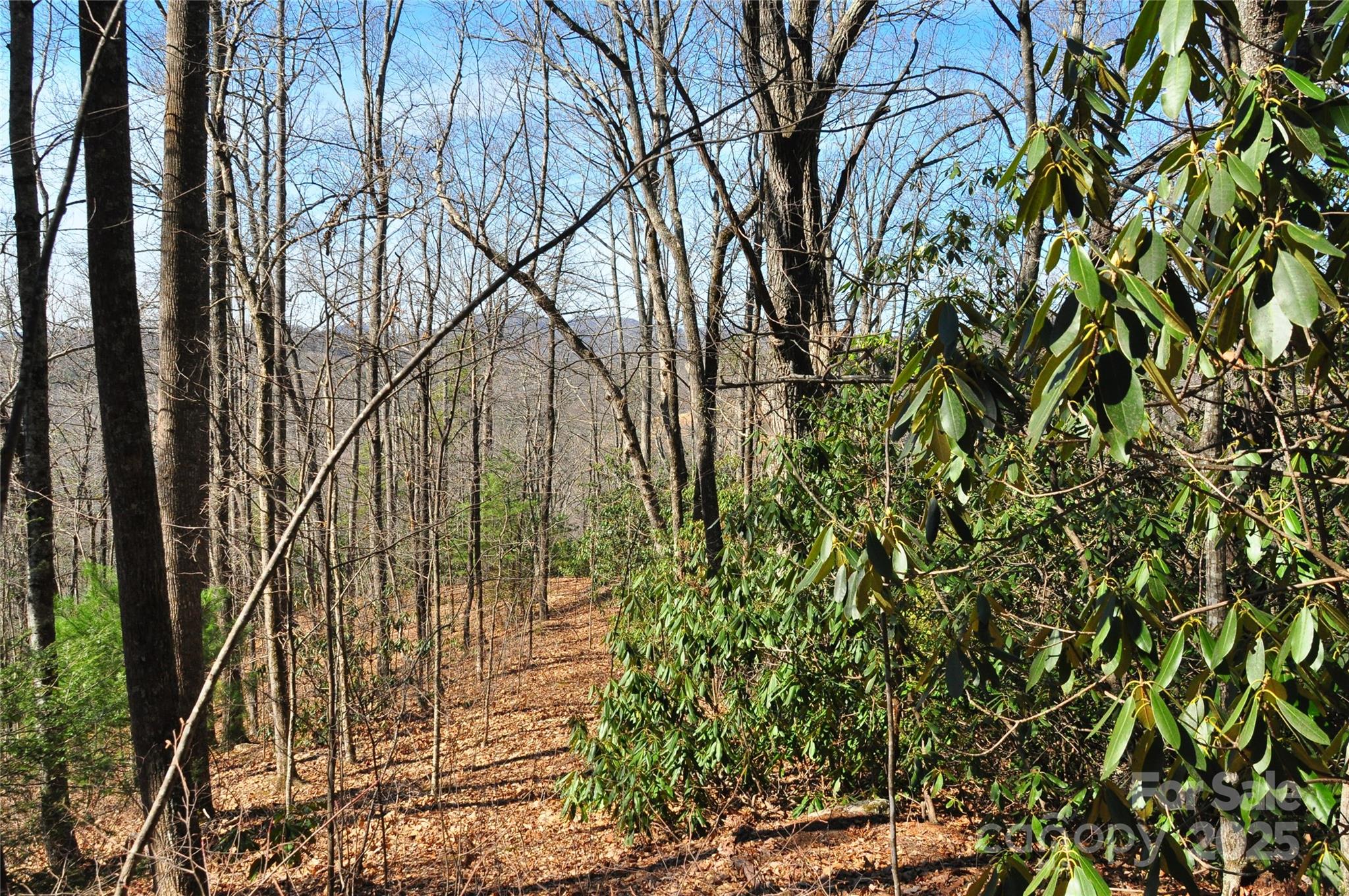 0 Stoneledge Road Property Photo 3