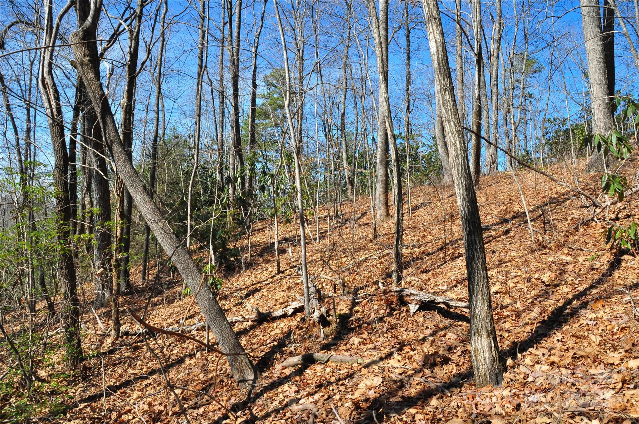 0 Stoneledge Road Property Photo 6