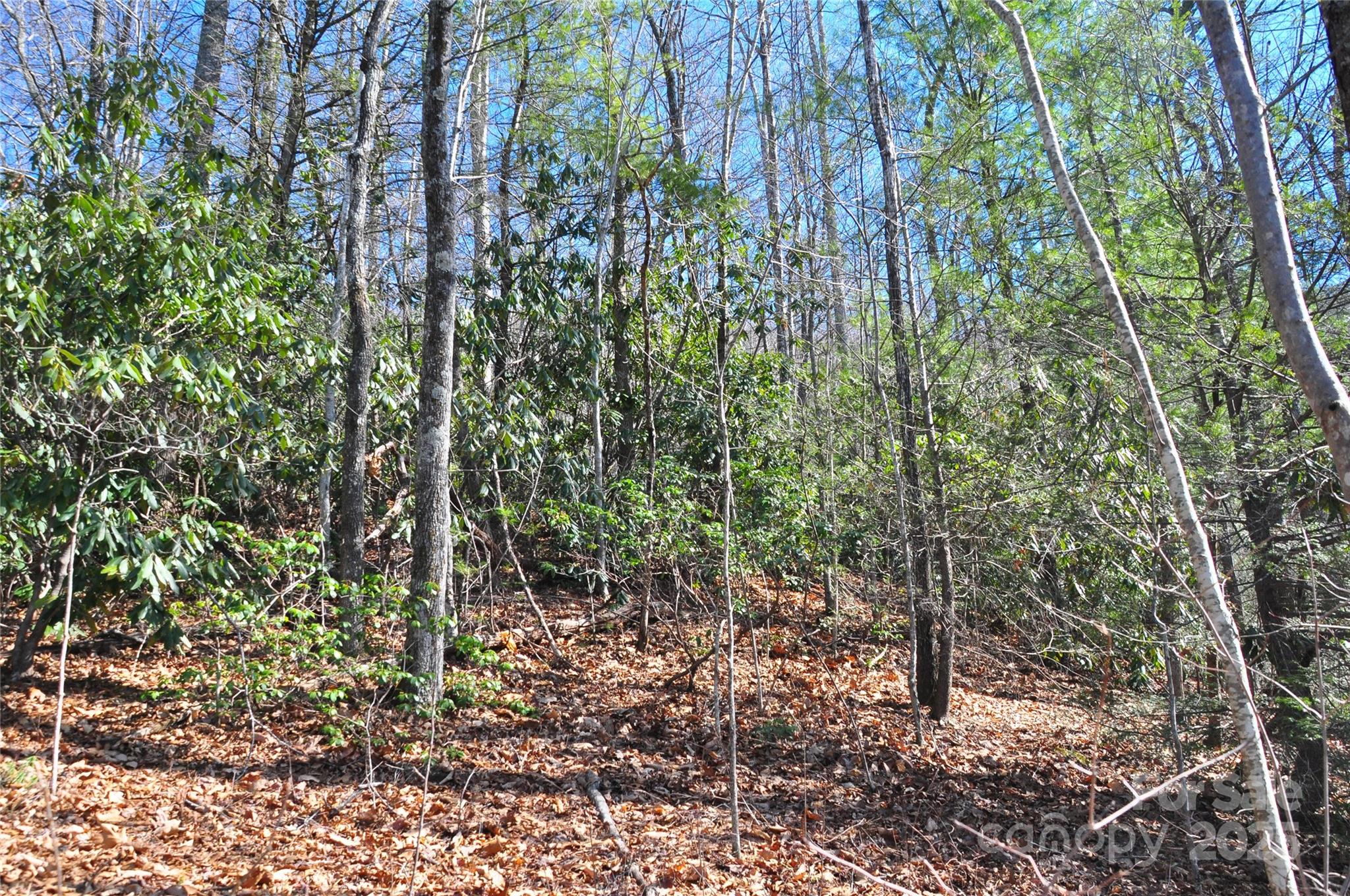0 Stoneledge Road Property Photo 7