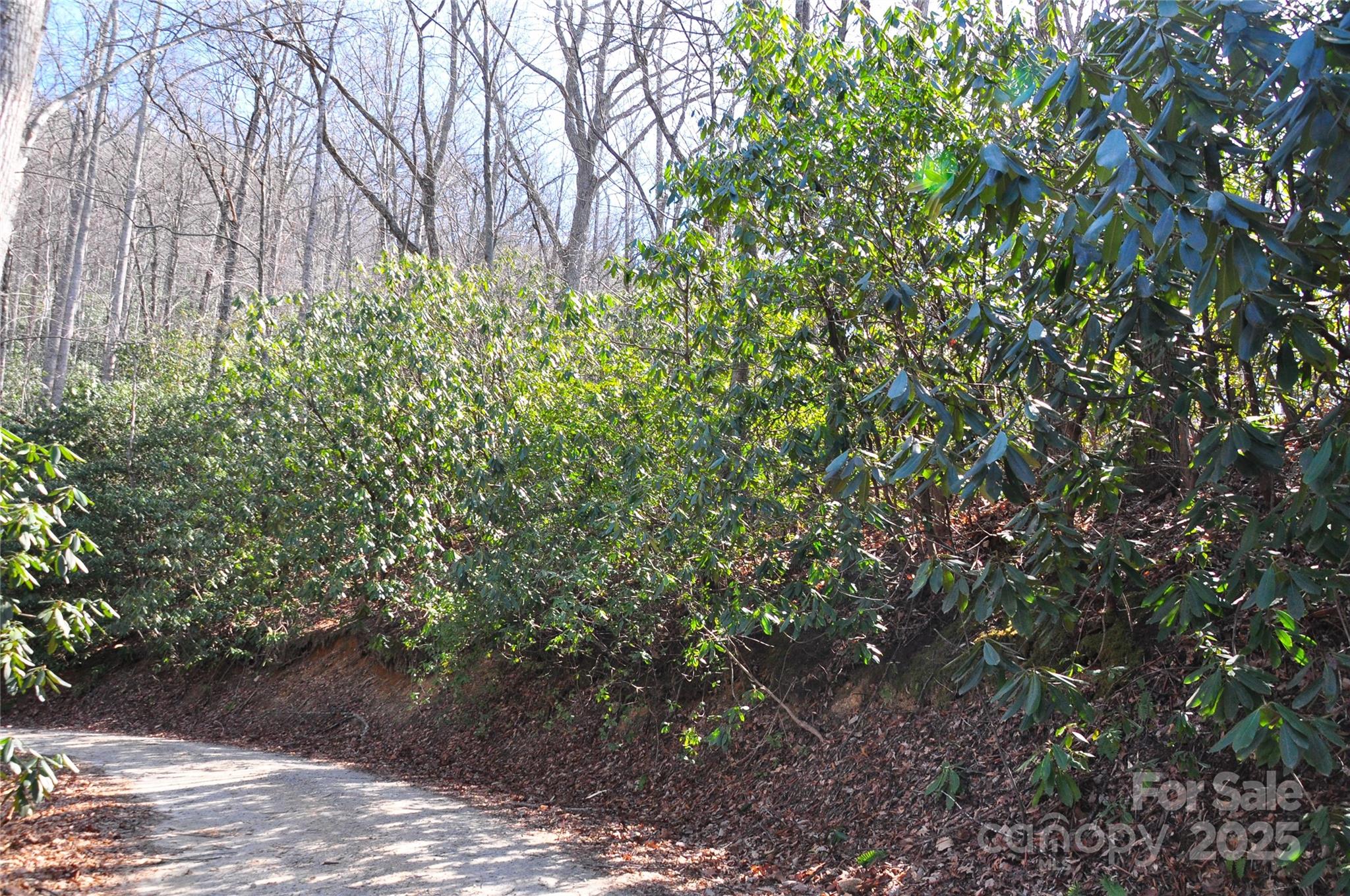 0 Stoneledge Road Property Photo 9