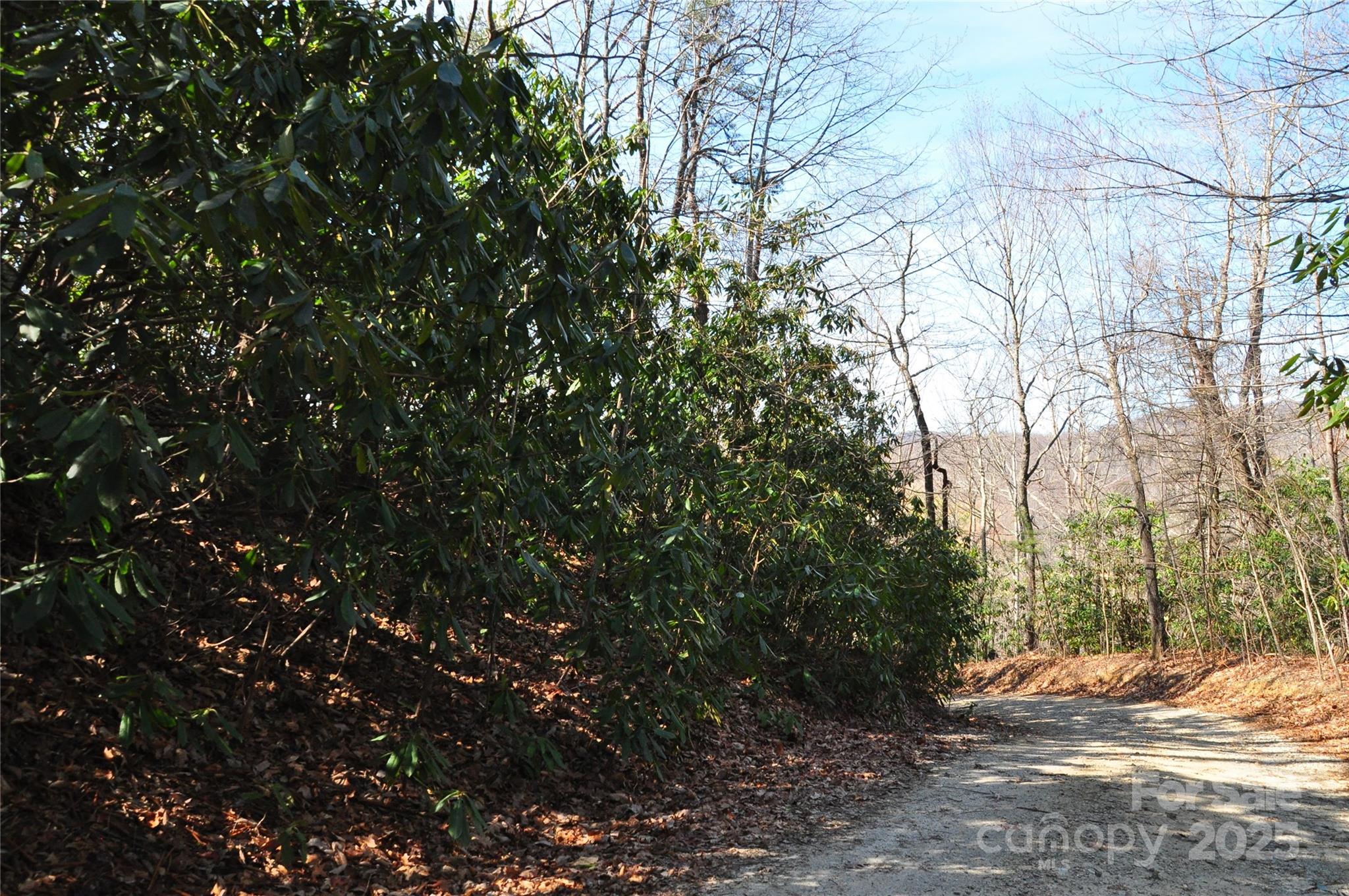 0 Stoneledge Road Property Photo 10