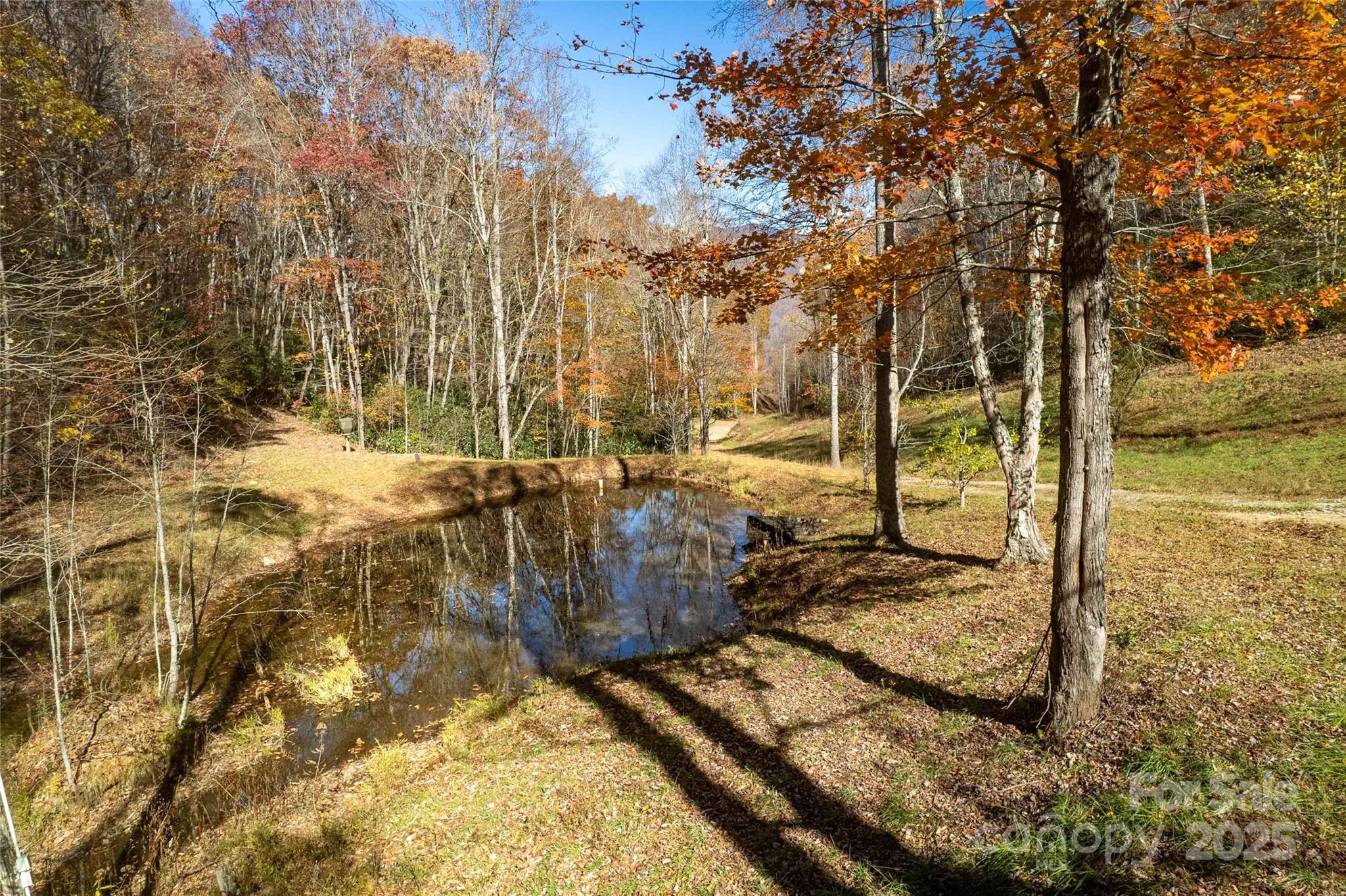 930 Copperhead Cove Property Photo 3