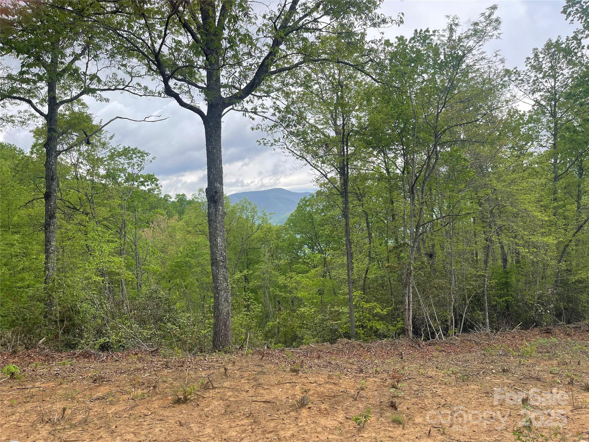 930 Copperhead Cove Property Photo 4