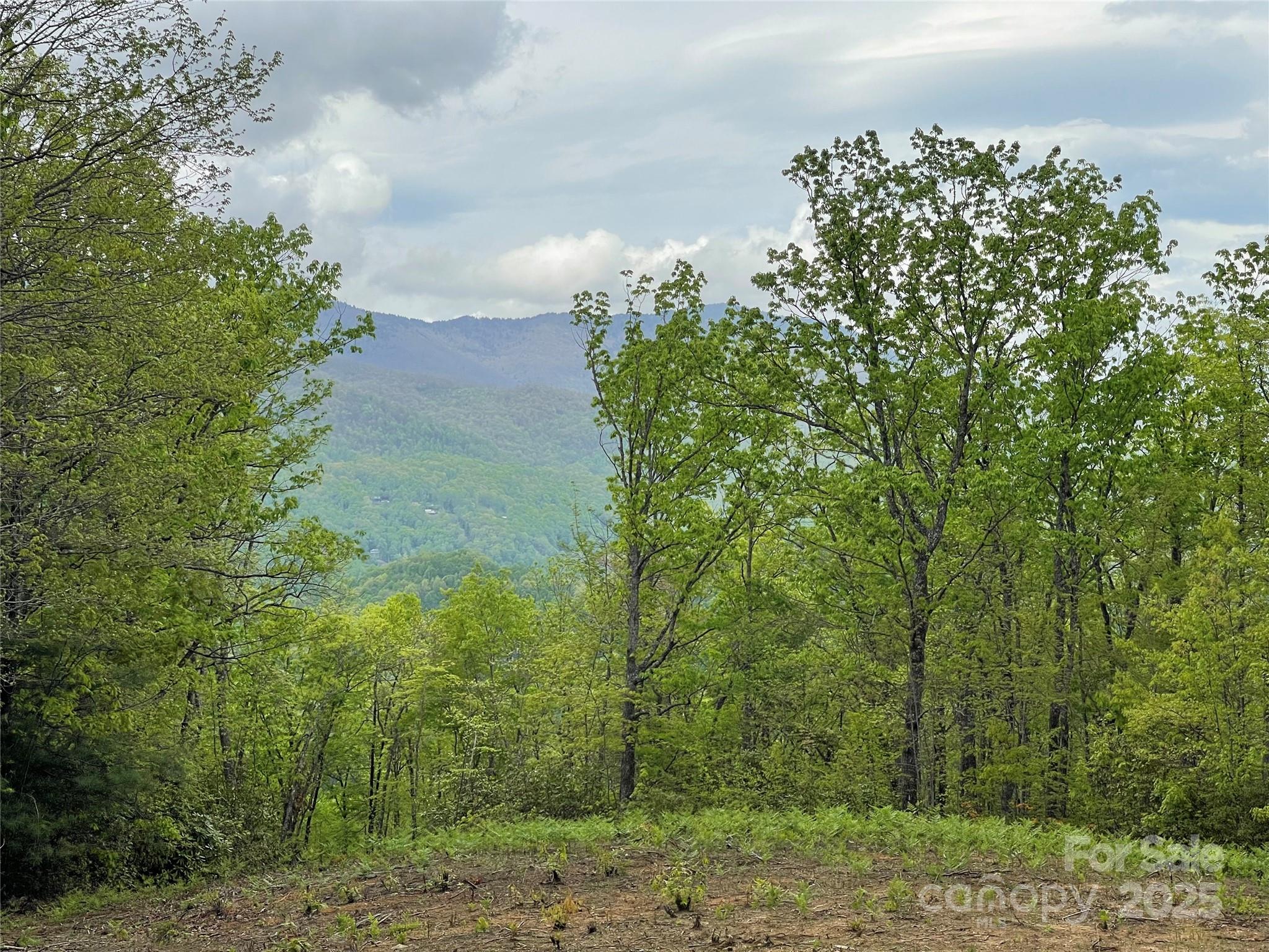 930 Copperhead Cove Property Photo 7
