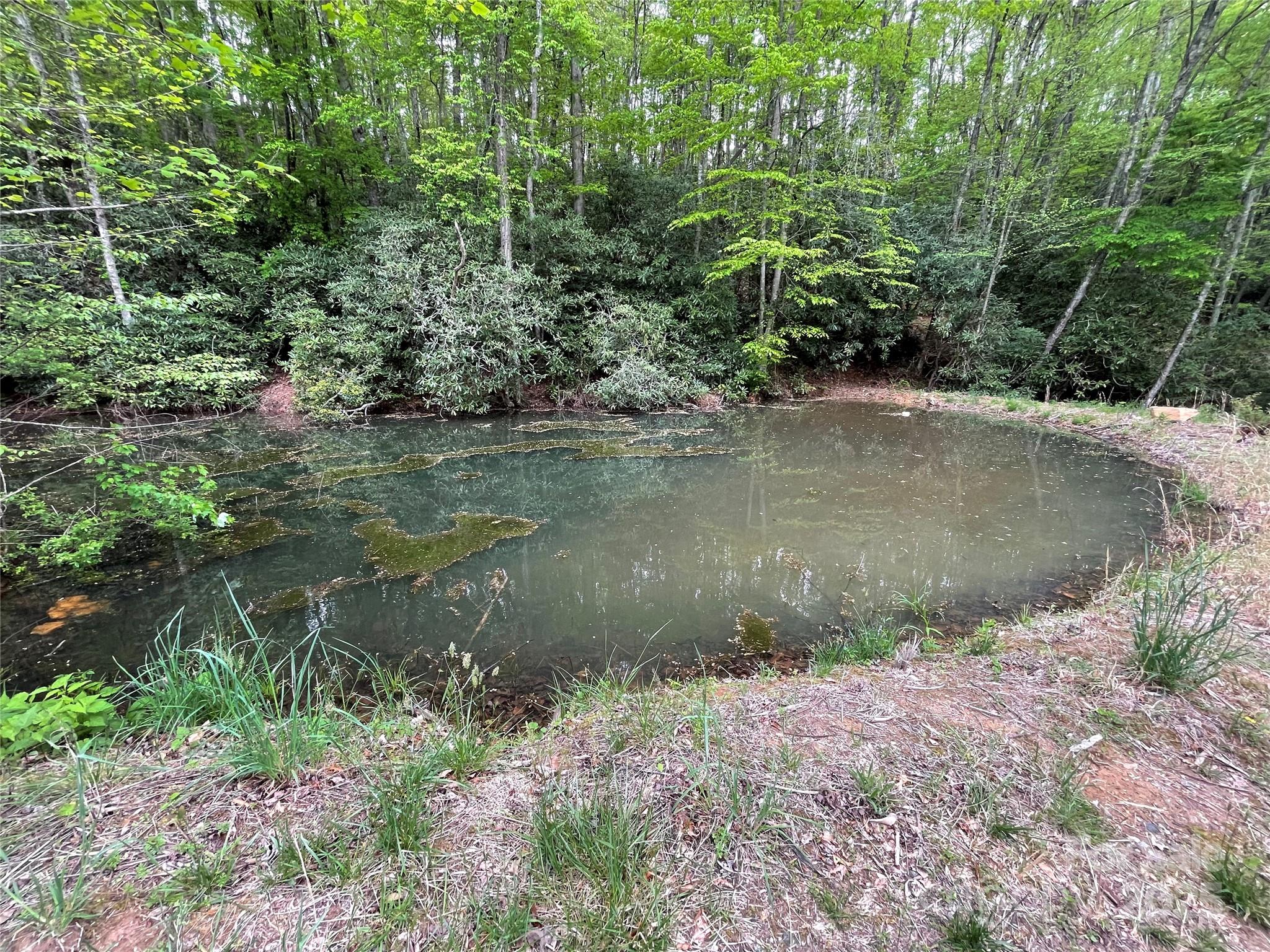 930 Copperhead Cove Property Photo 8