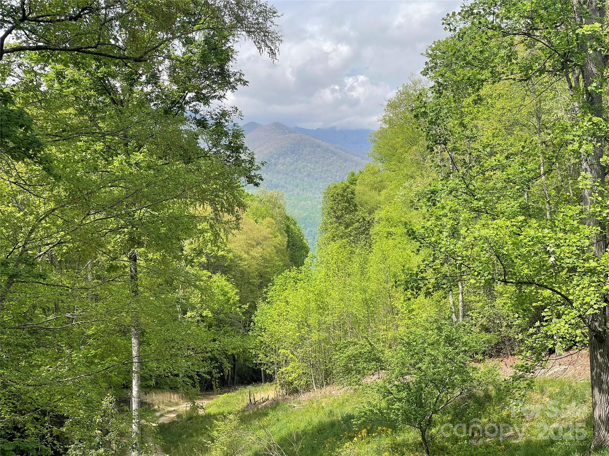 930 Copperhead Cove Property Photo 10