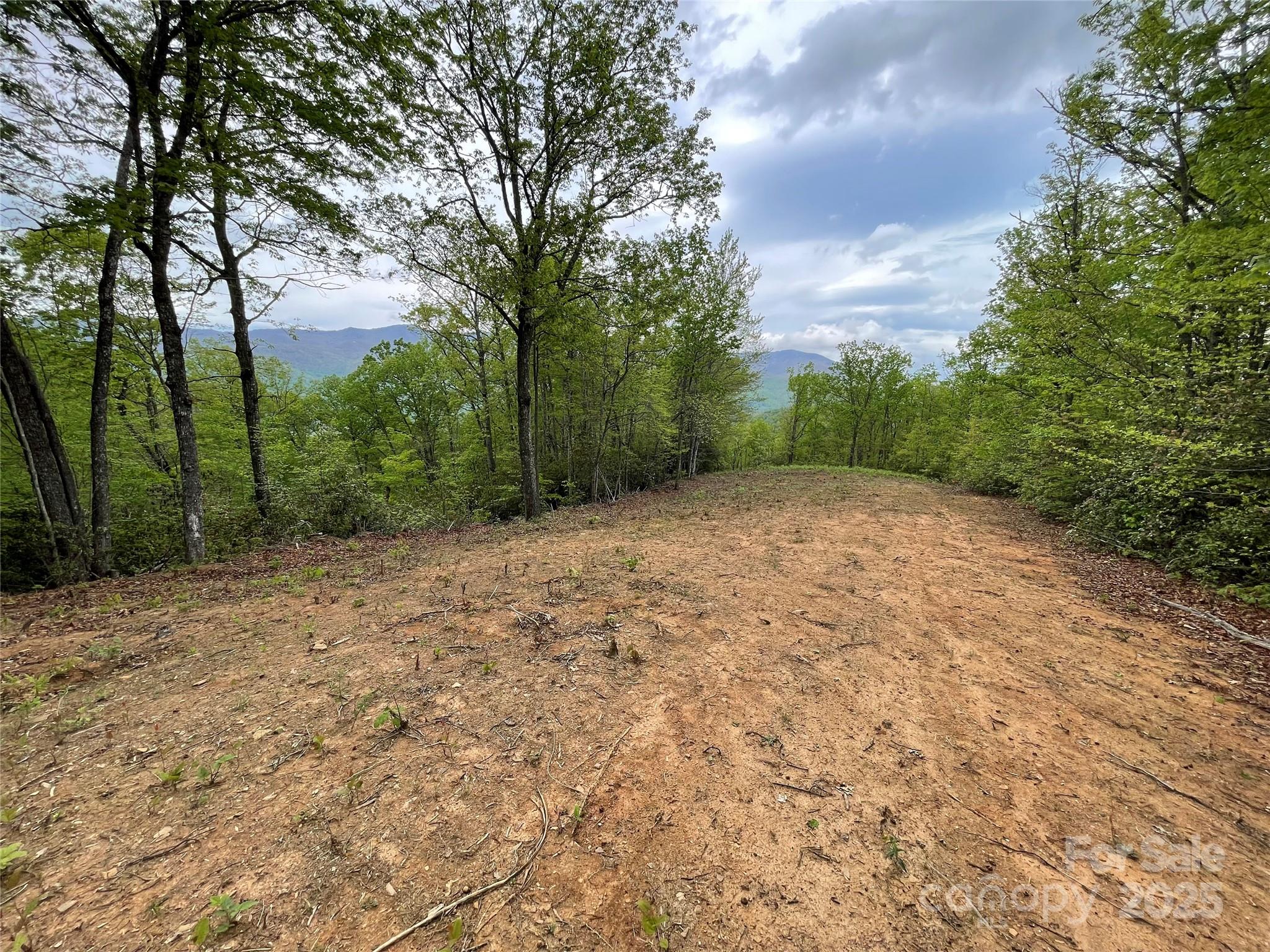 930 Copperhead Cove Property Photo 14