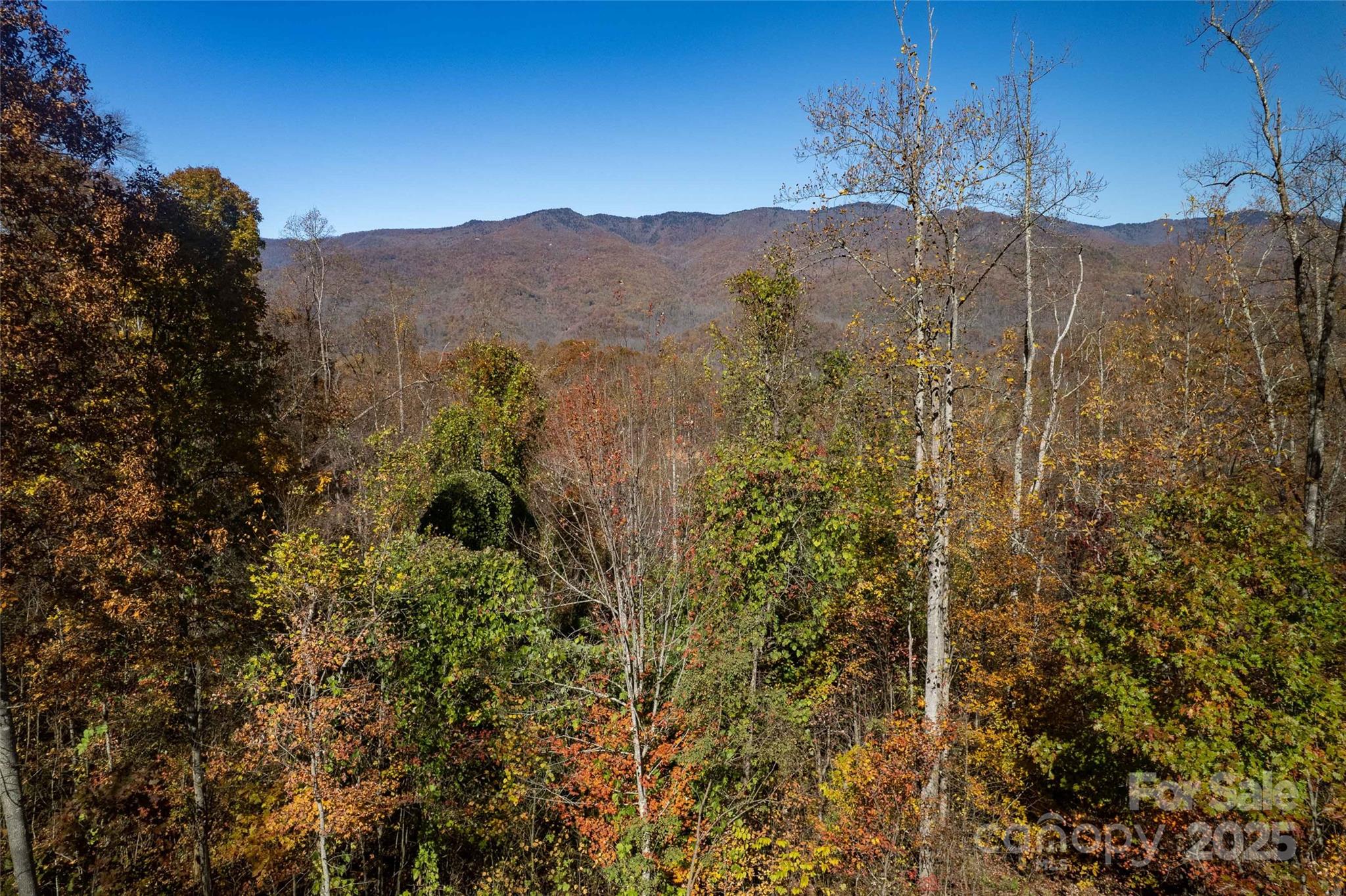 930 Copperhead Cove Property Photo 20