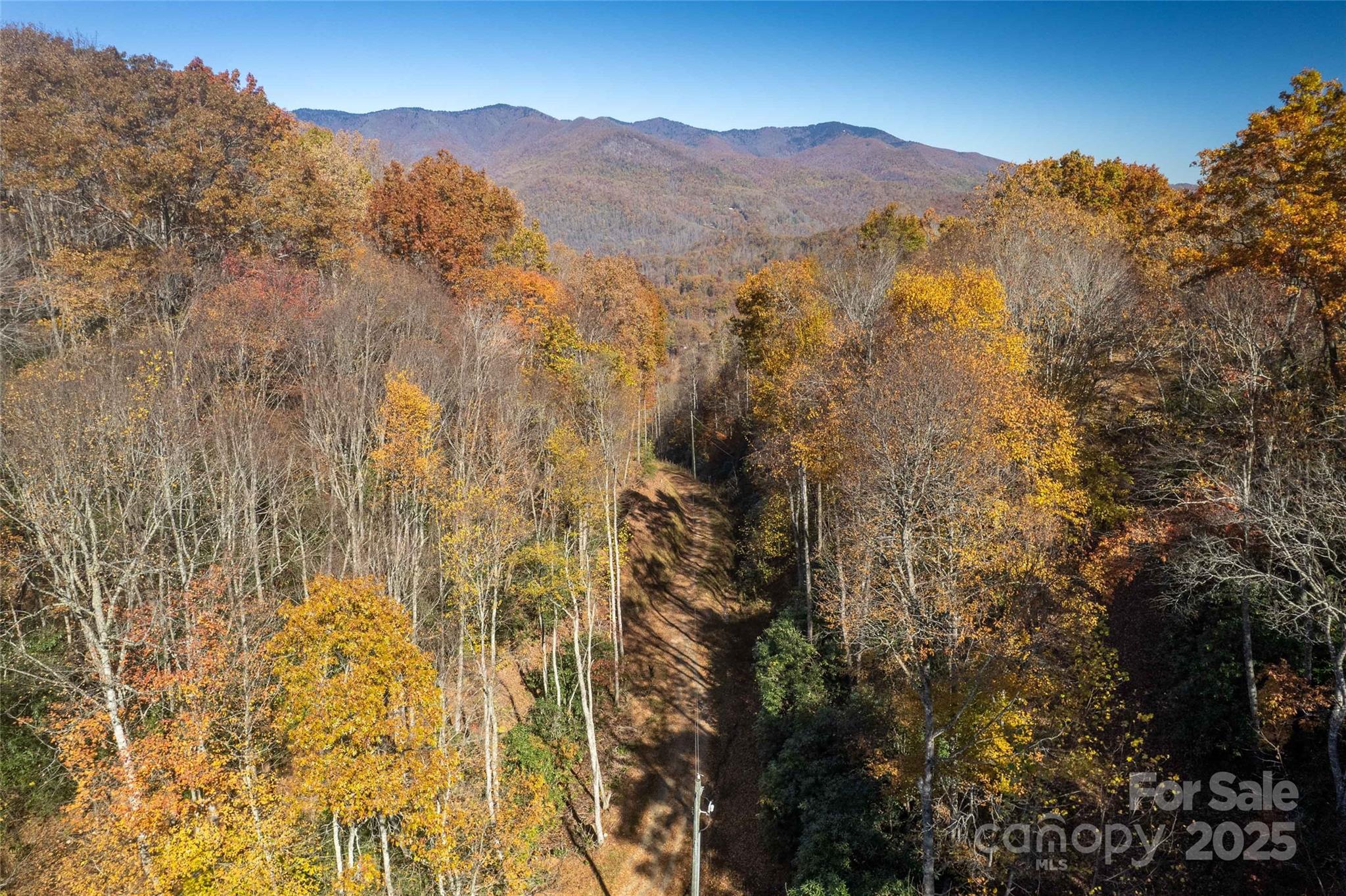 930 Copperhead Cove Property Photo 22