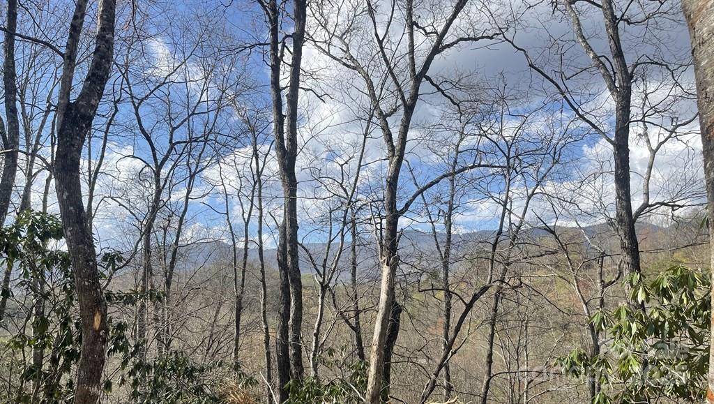 930 Copperhead Cove Property Photo 27