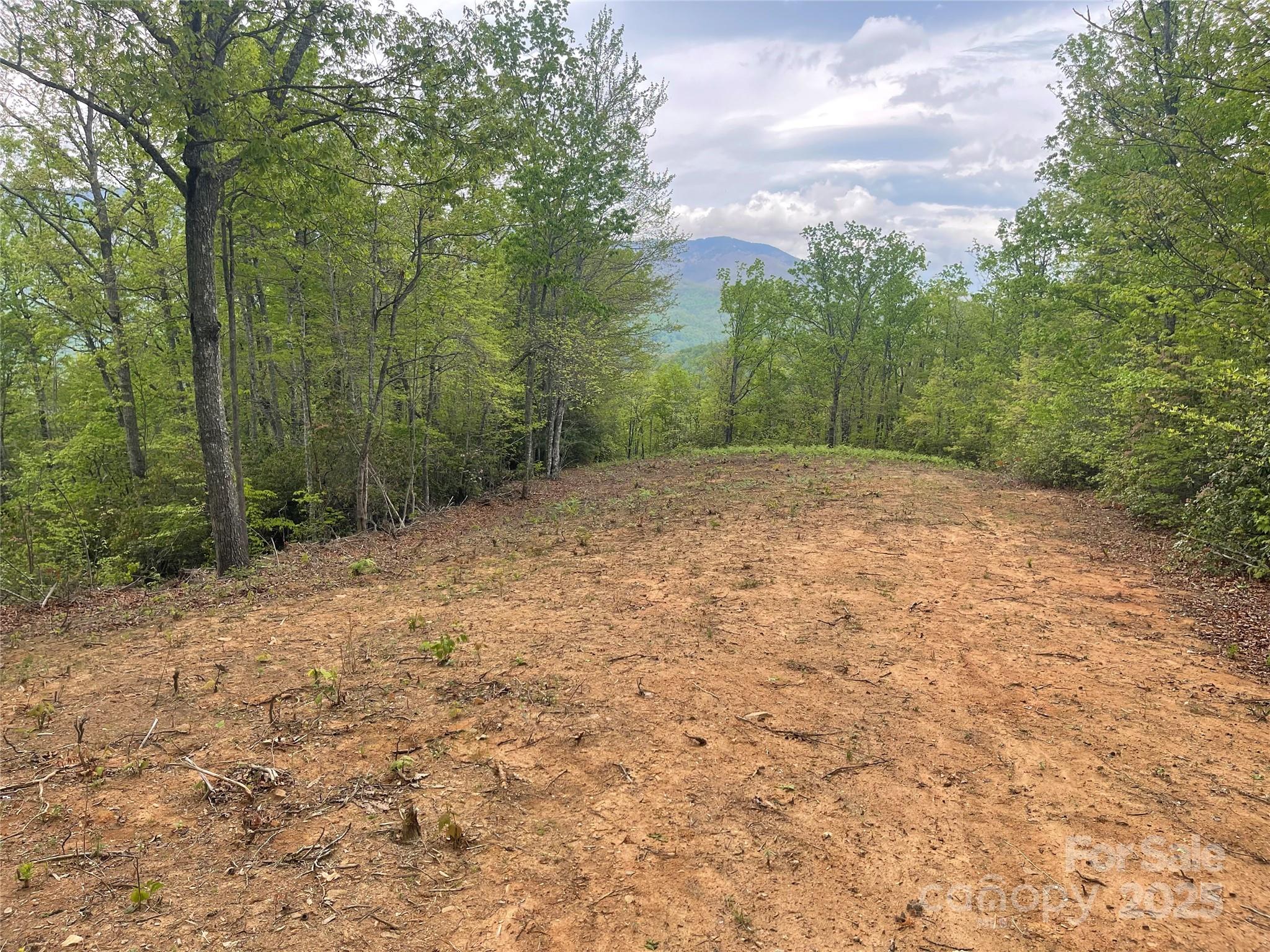 930 Copperhead Cove Property Photo 36