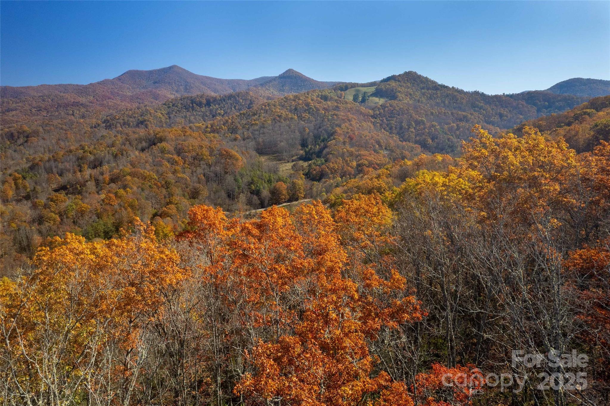 930 Copperhead Cove Property Photo 38
