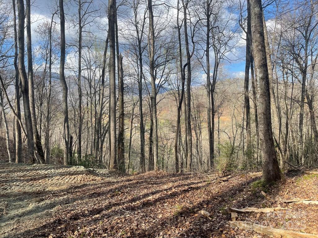 930 Copperhead Cove Property Photo 39