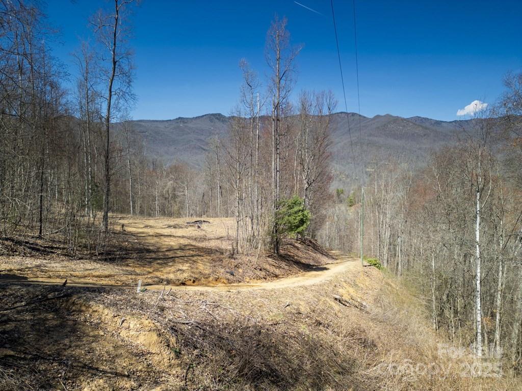 930 Copperhead Cove Property Photo 47