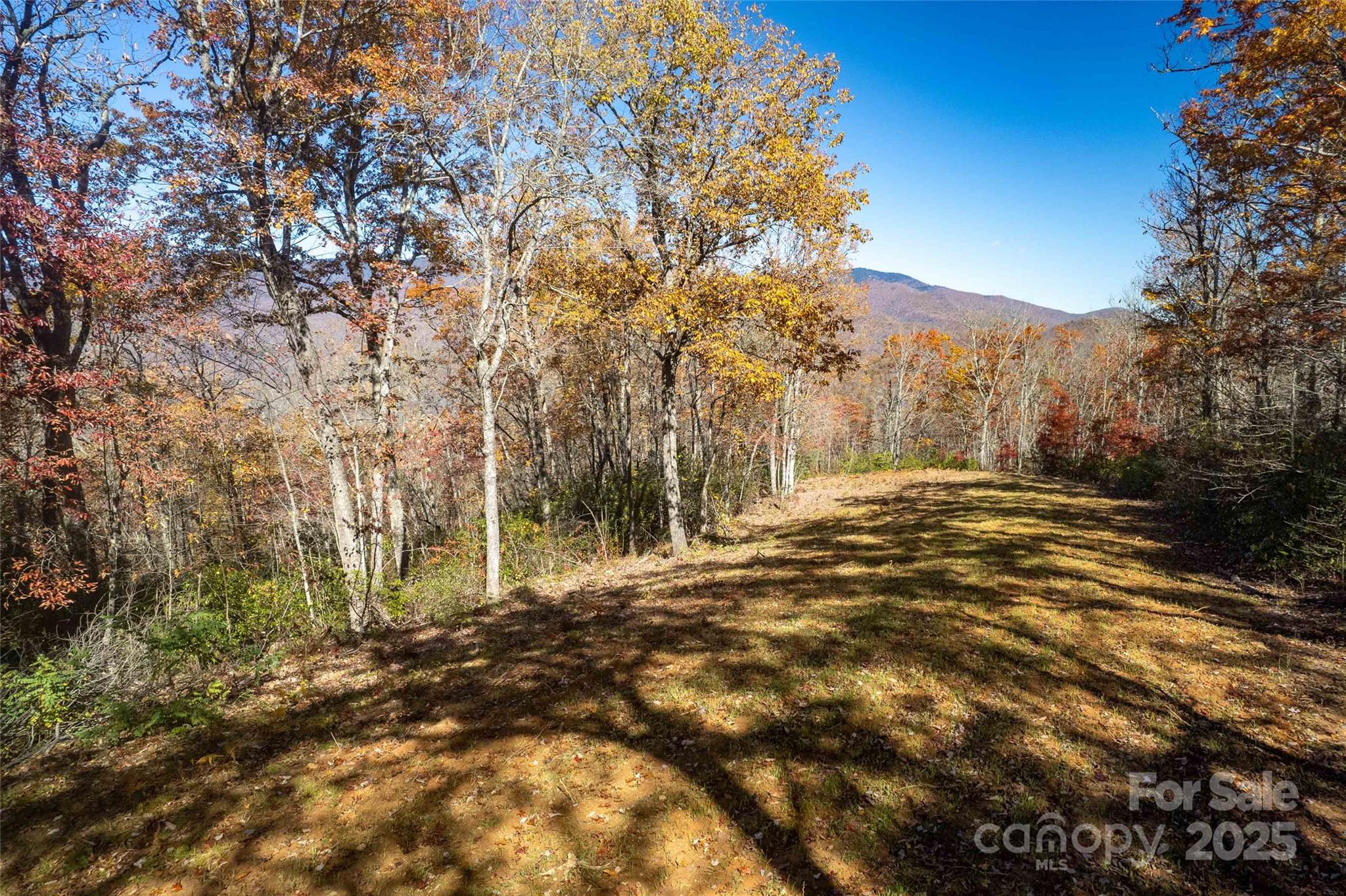 930 Copperhead Cove Property Photo 48