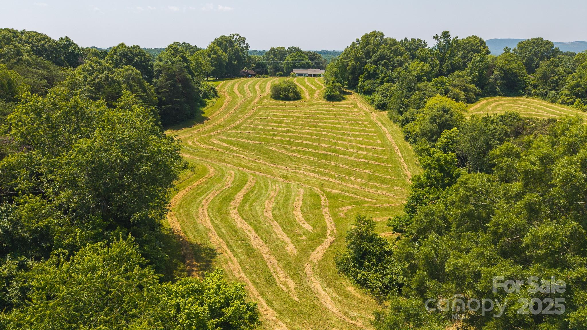 1040 Nc 90 Highway Property Photo 4