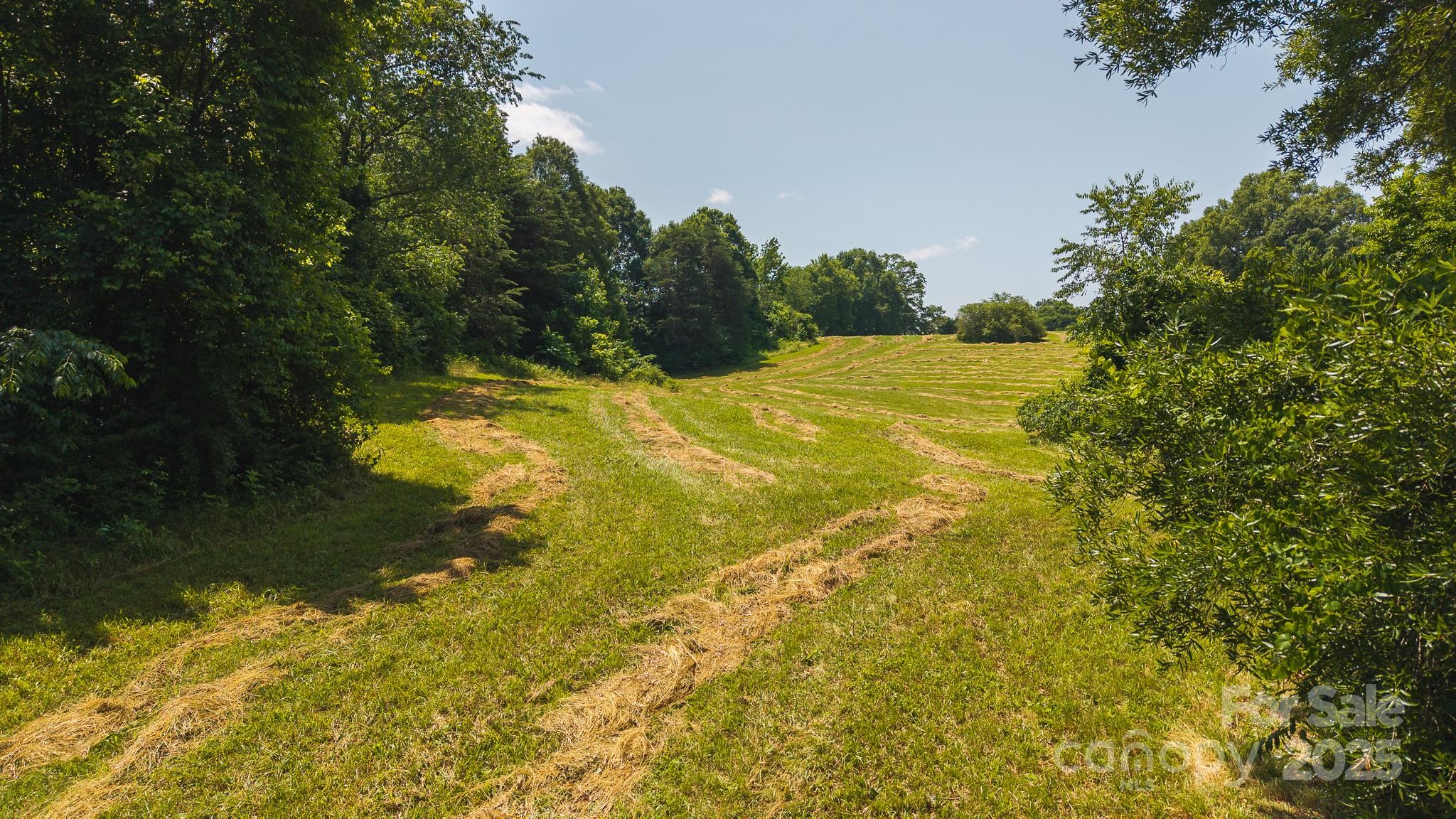 1040 Nc 90 Highway Property Photo 5