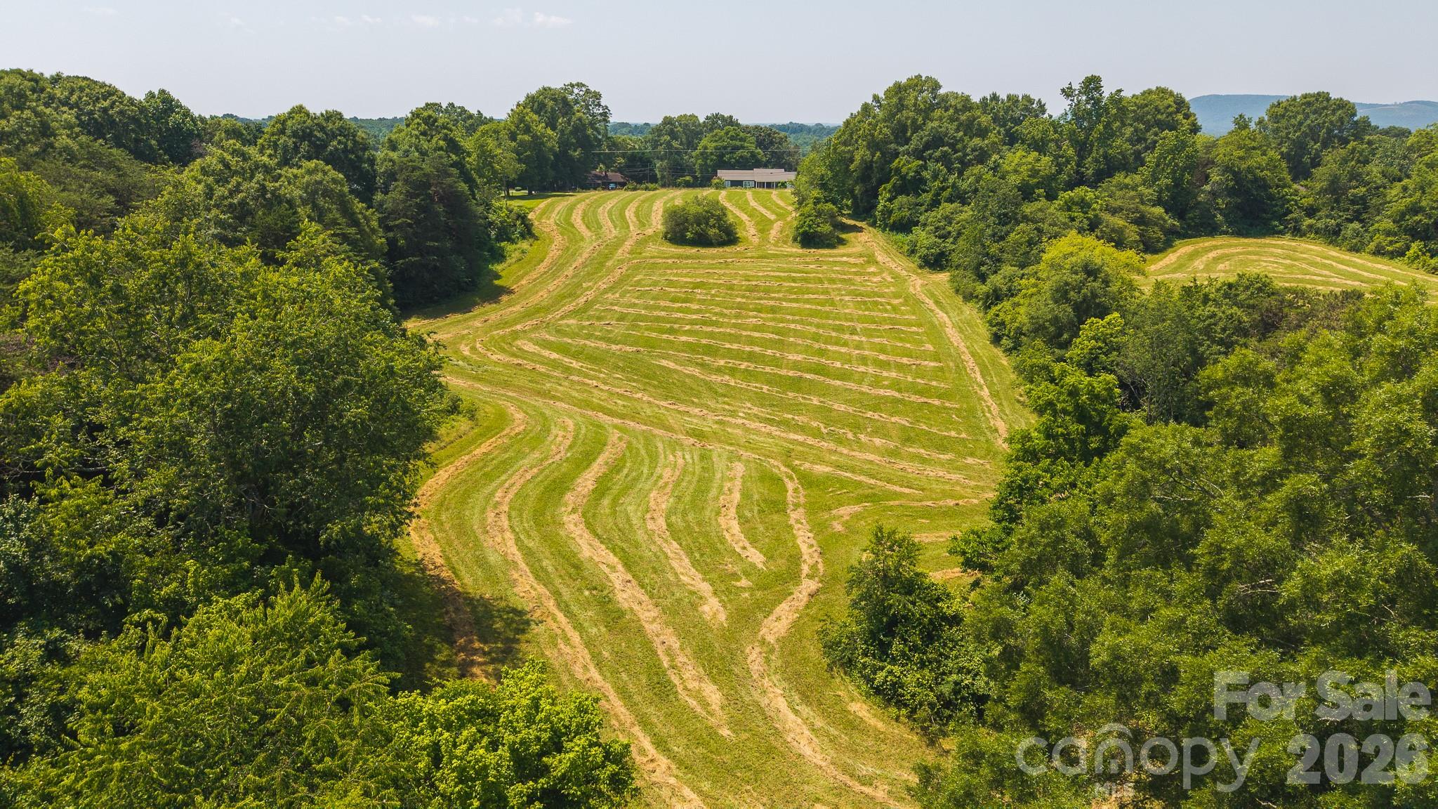 1040 Nc 90 Highway Property Photo 5