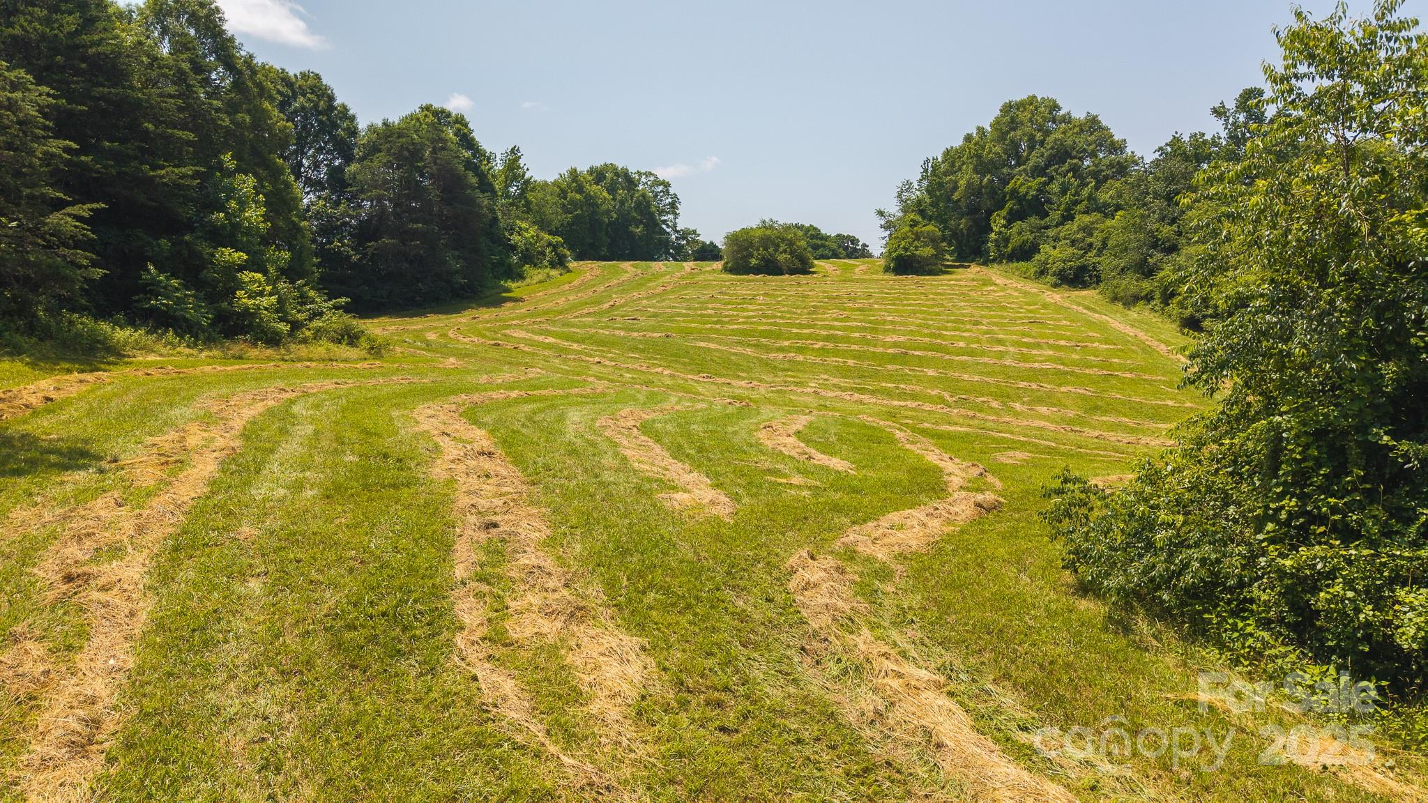 1040 Nc 90 Highway Property Photo 6