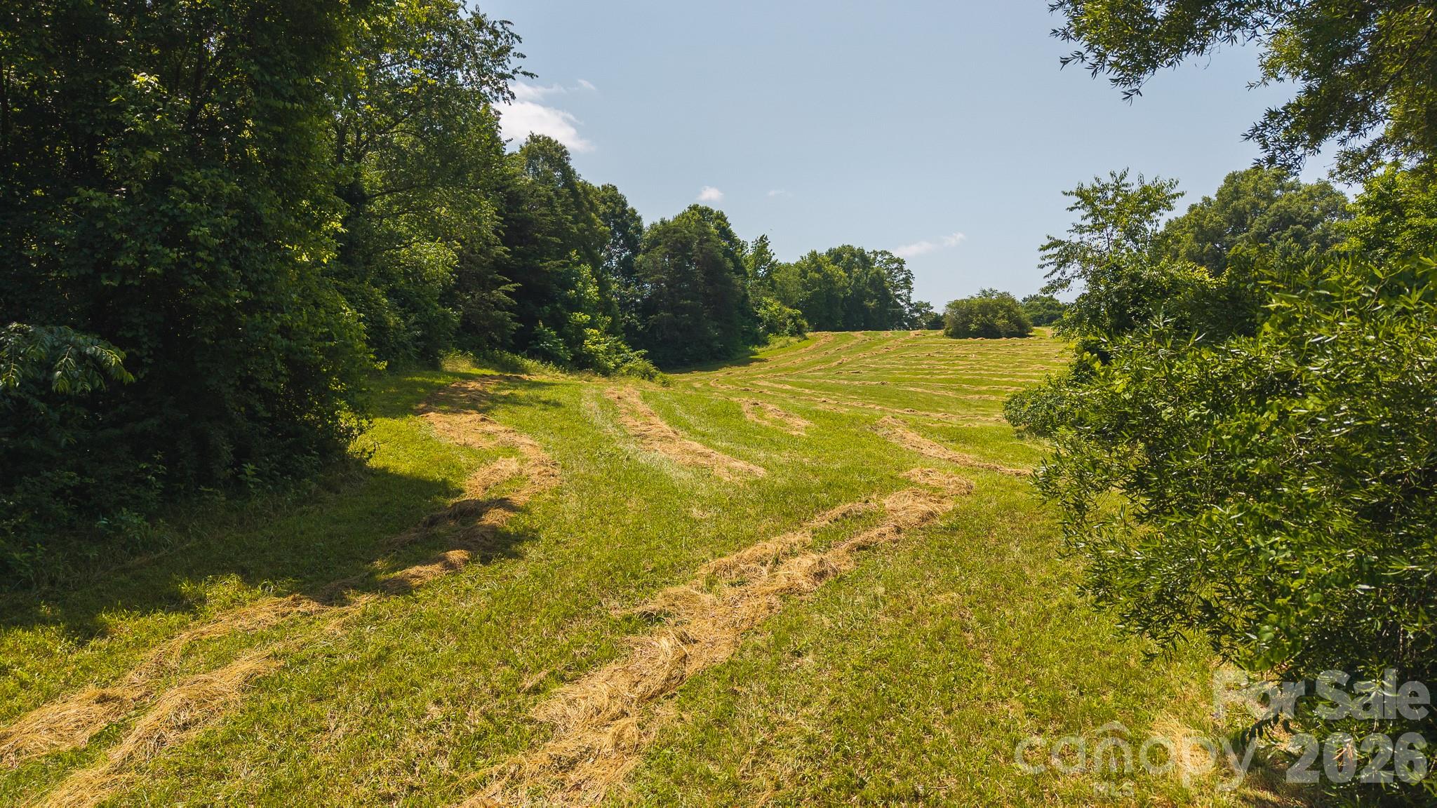 1040 Nc 90 Highway Property Photo 6