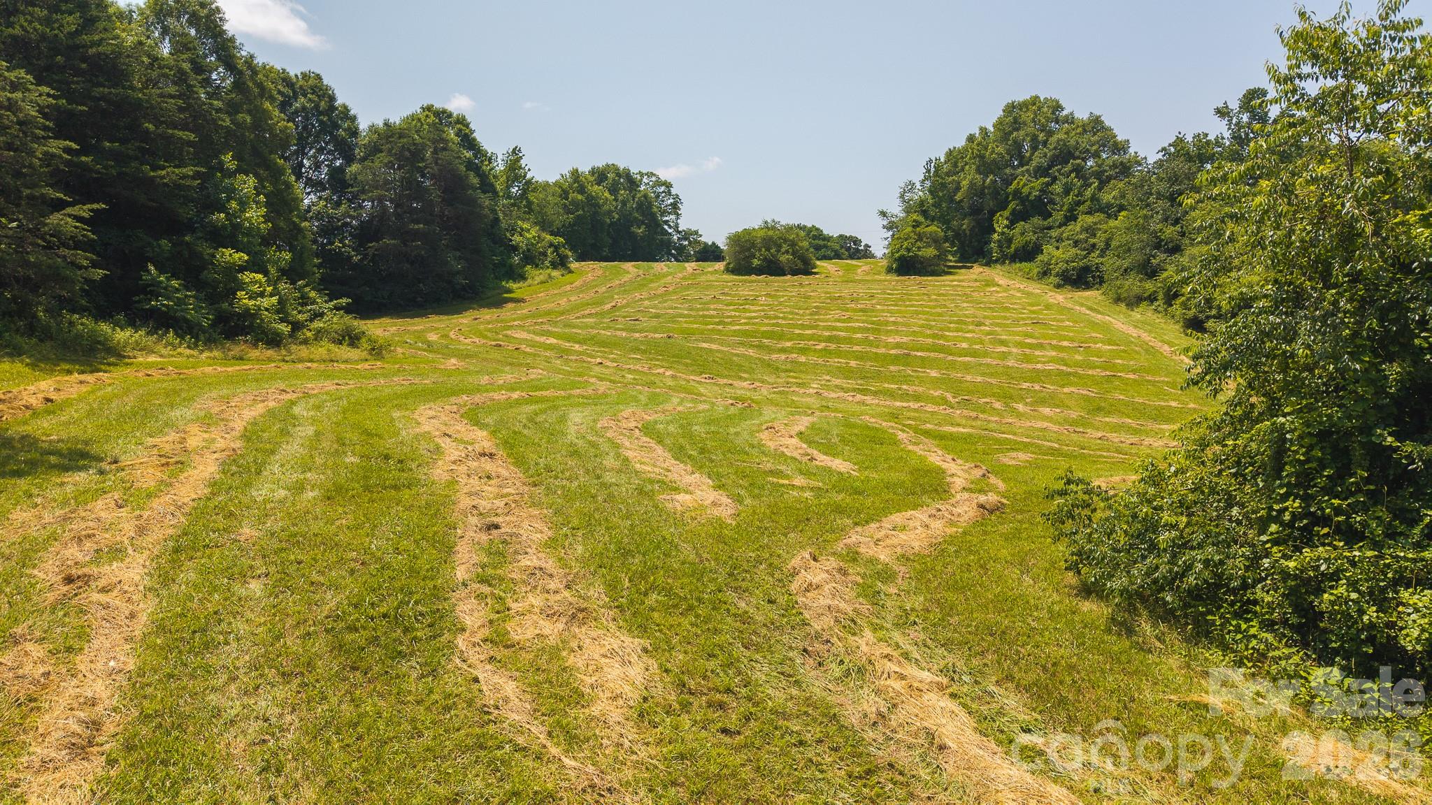 1040 Nc 90 Highway Property Photo 7