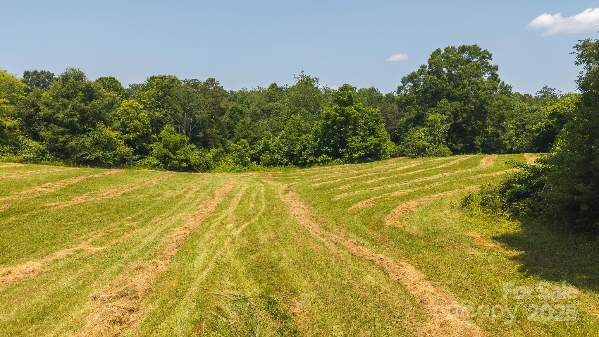 1040 Nc 90 Highway Property Photo 8