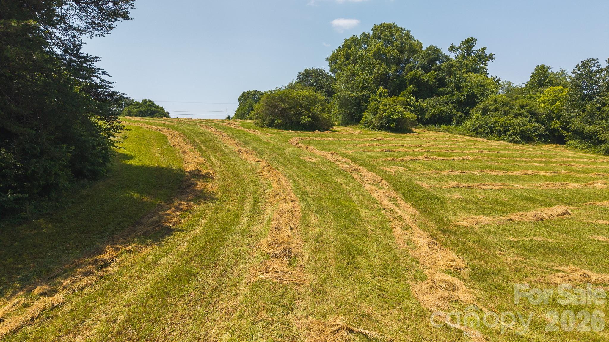 1040 Nc 90 Highway Property Photo 8
