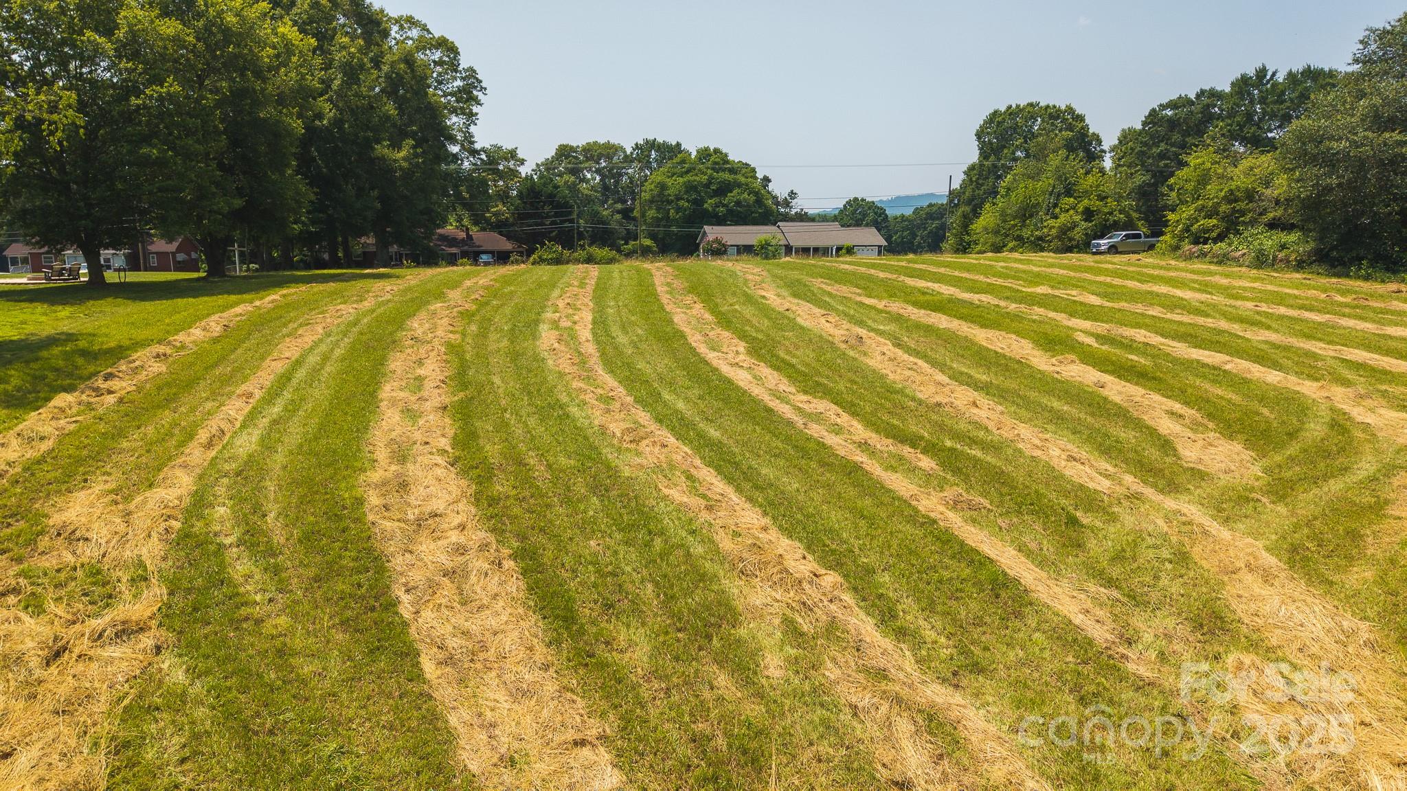 1040 Nc 90 Highway Property Photo 9
