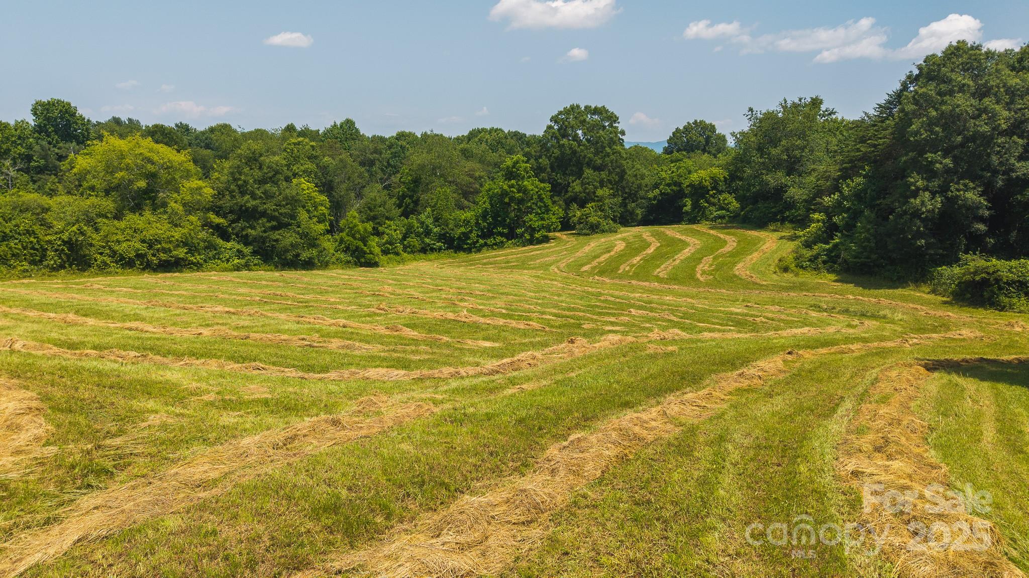 1040 Nc 90 Highway Property Photo 11