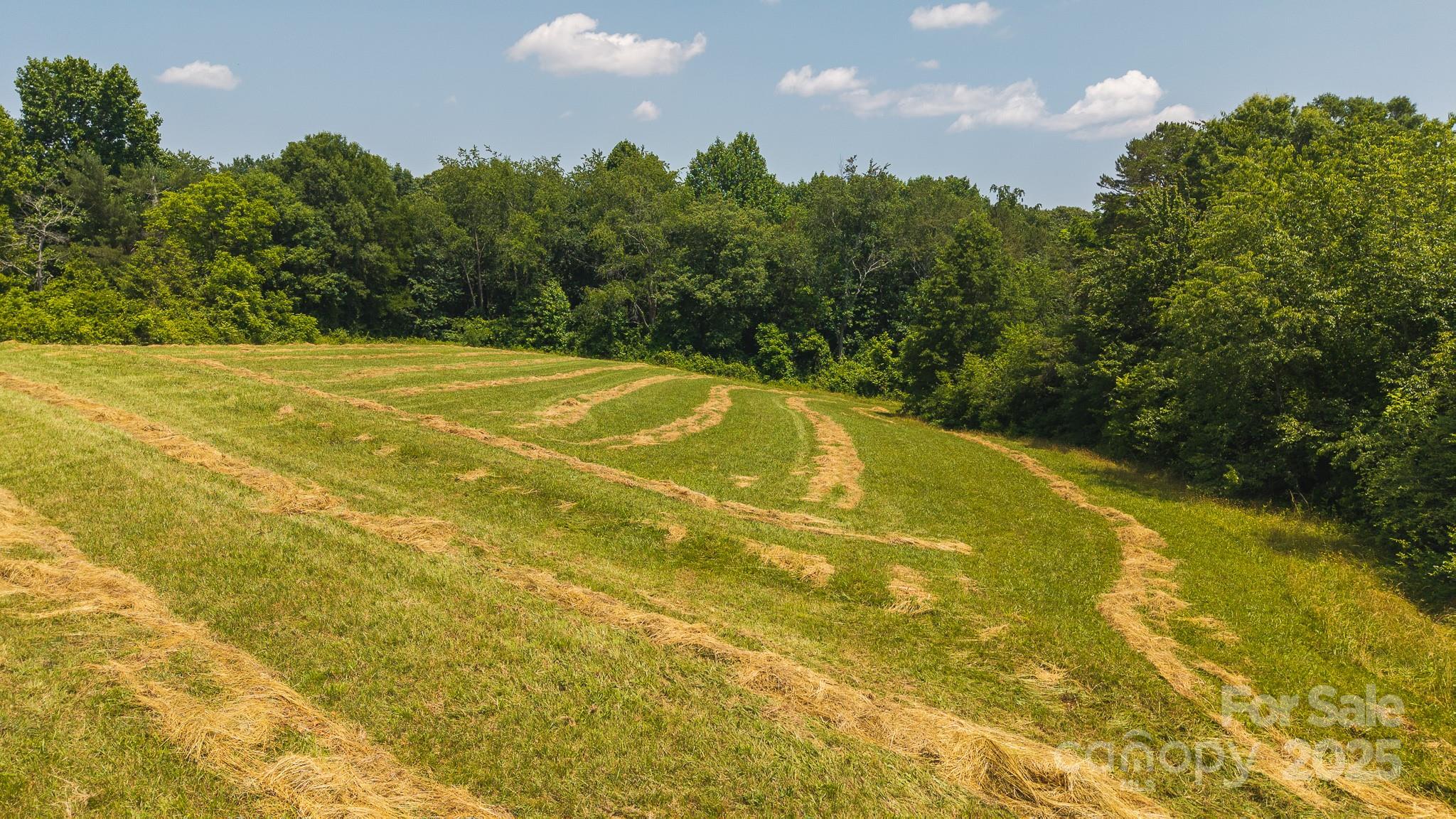 1040 Nc 90 Highway Property Photo 12