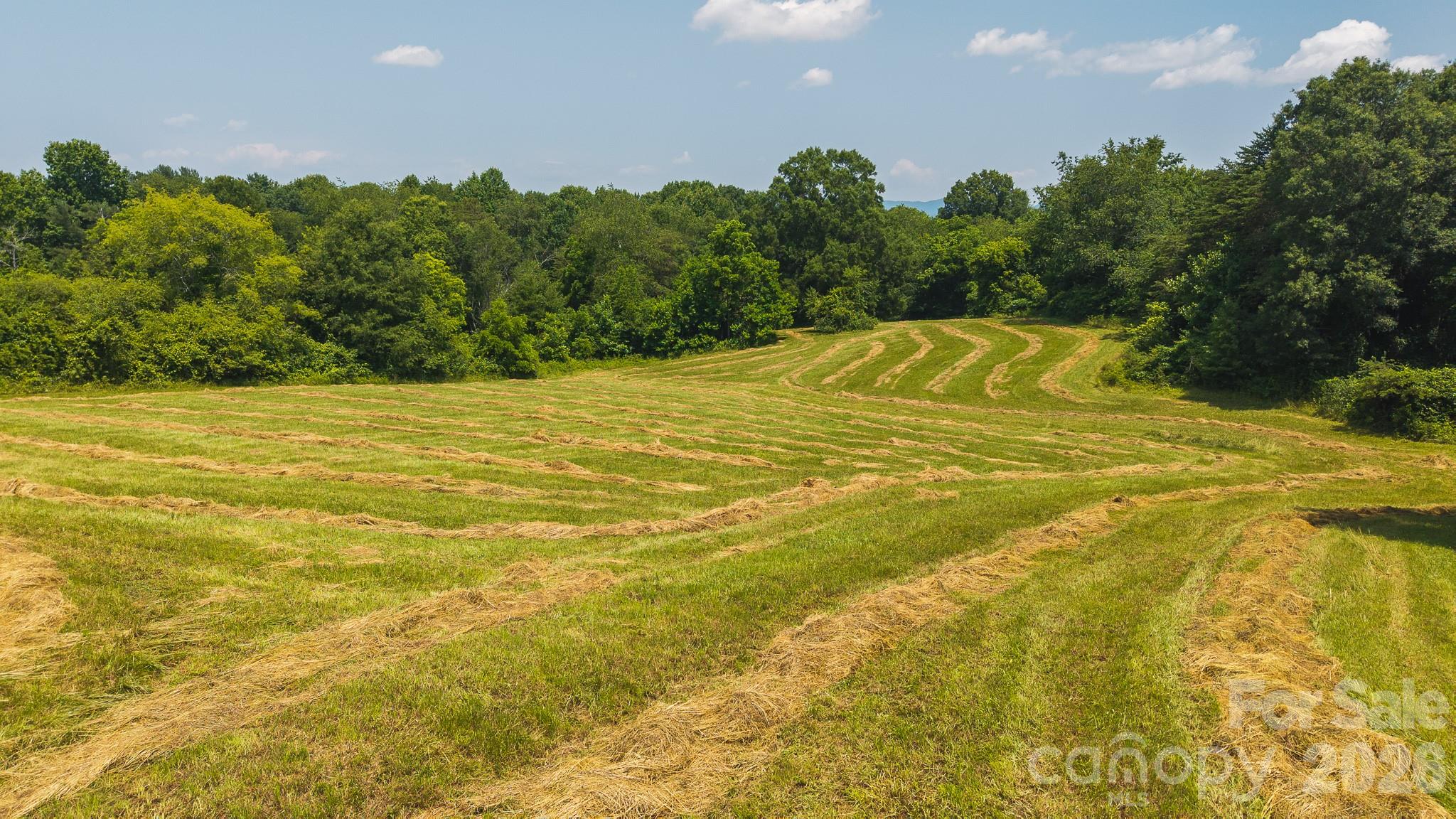 1040 Nc 90 Highway Property Photo 12