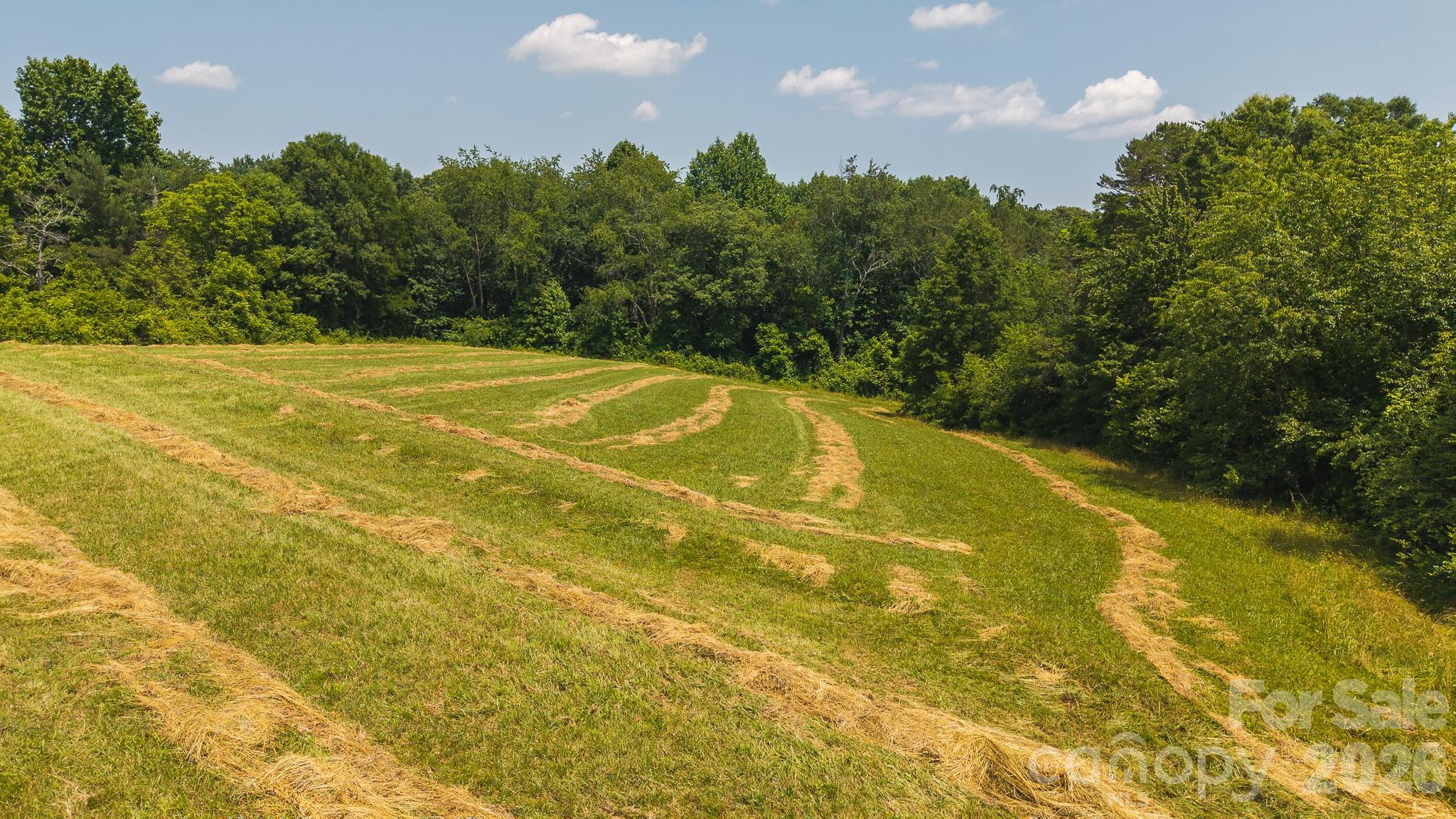 1040 Nc 90 Highway Property Photo 13
