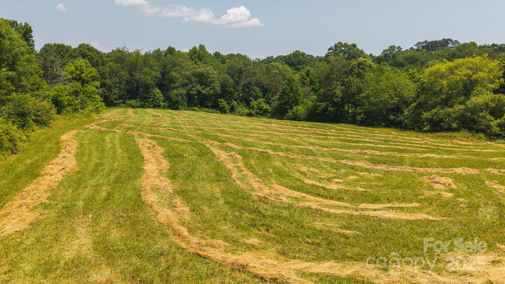 1040 Nc 90 Highway Property Photo 14