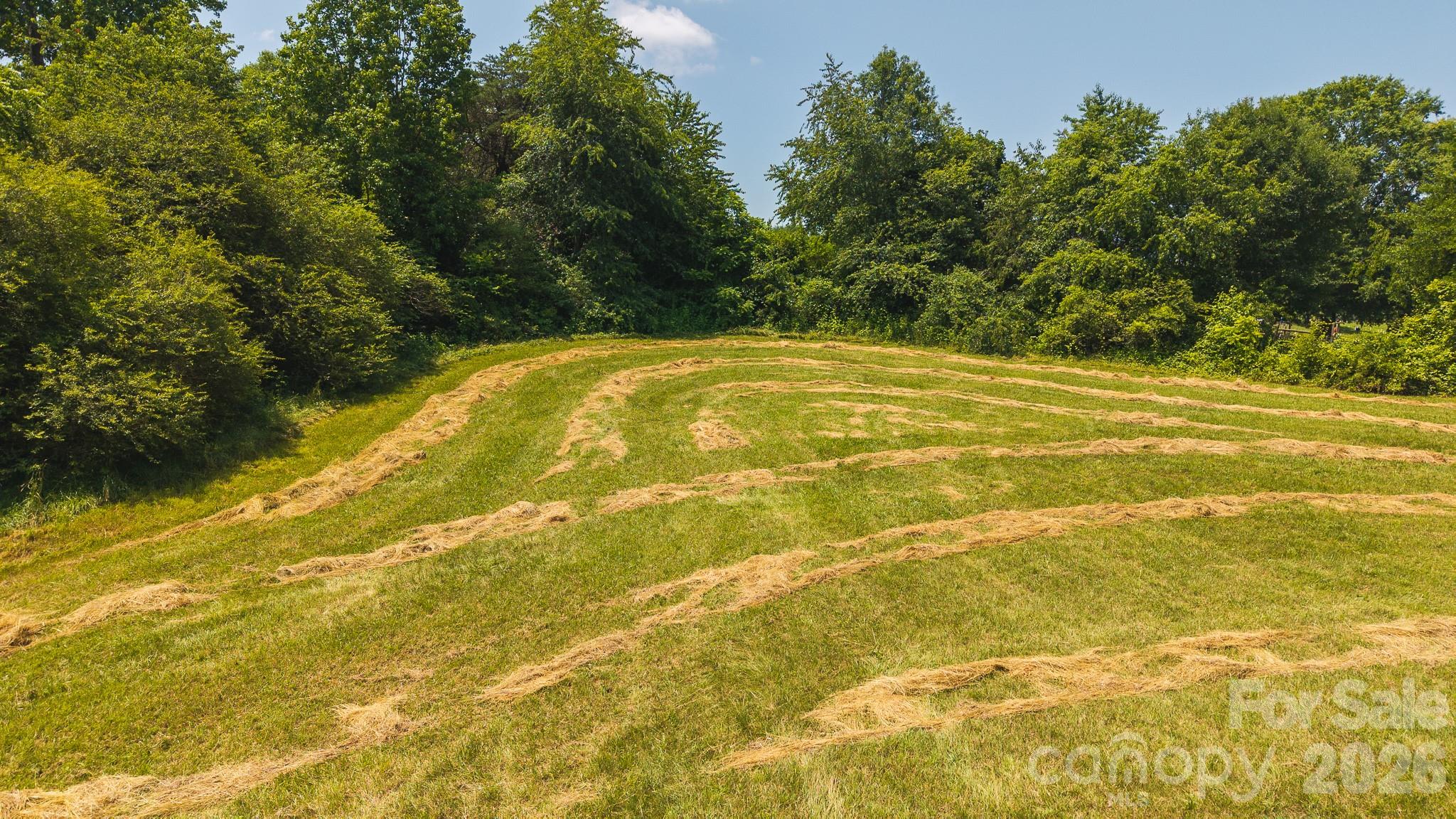 1040 Nc 90 Highway Property Photo 14