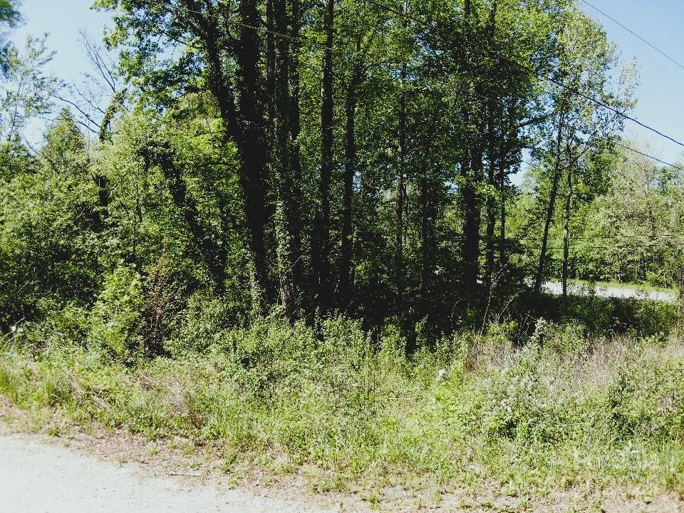 000 Charles Place Property Photo 5