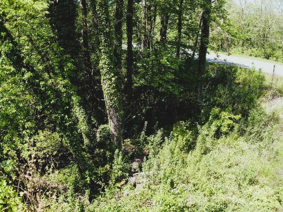 000 Charles Place Property Photo 6